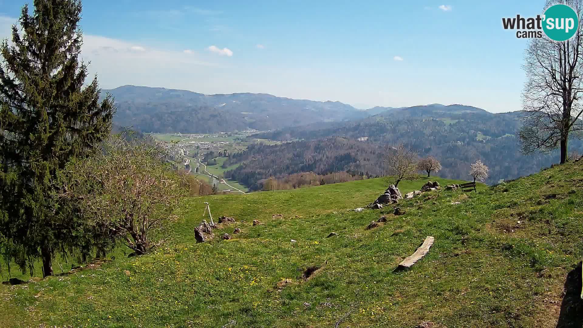 Slajka livecam | Gorenja Vas | Slovénie