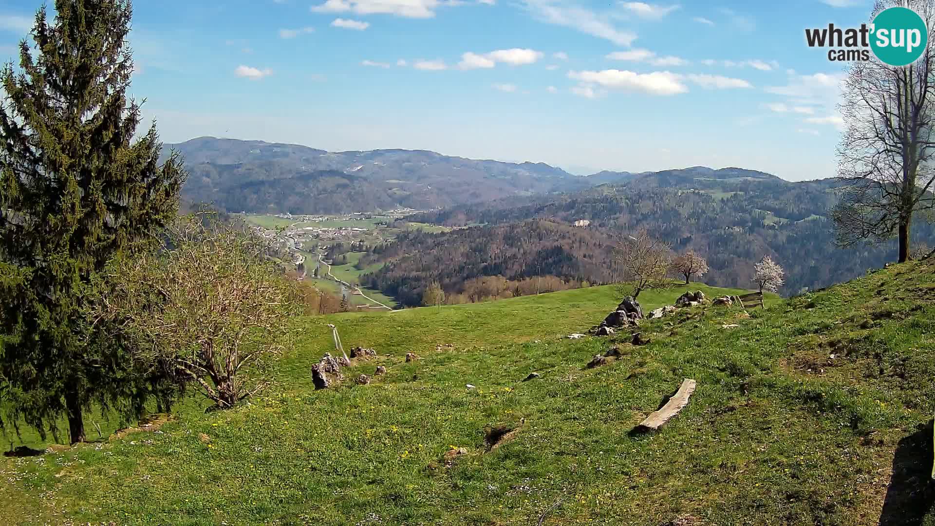 Slajka livecam | Gorenja Vas | Slovénie