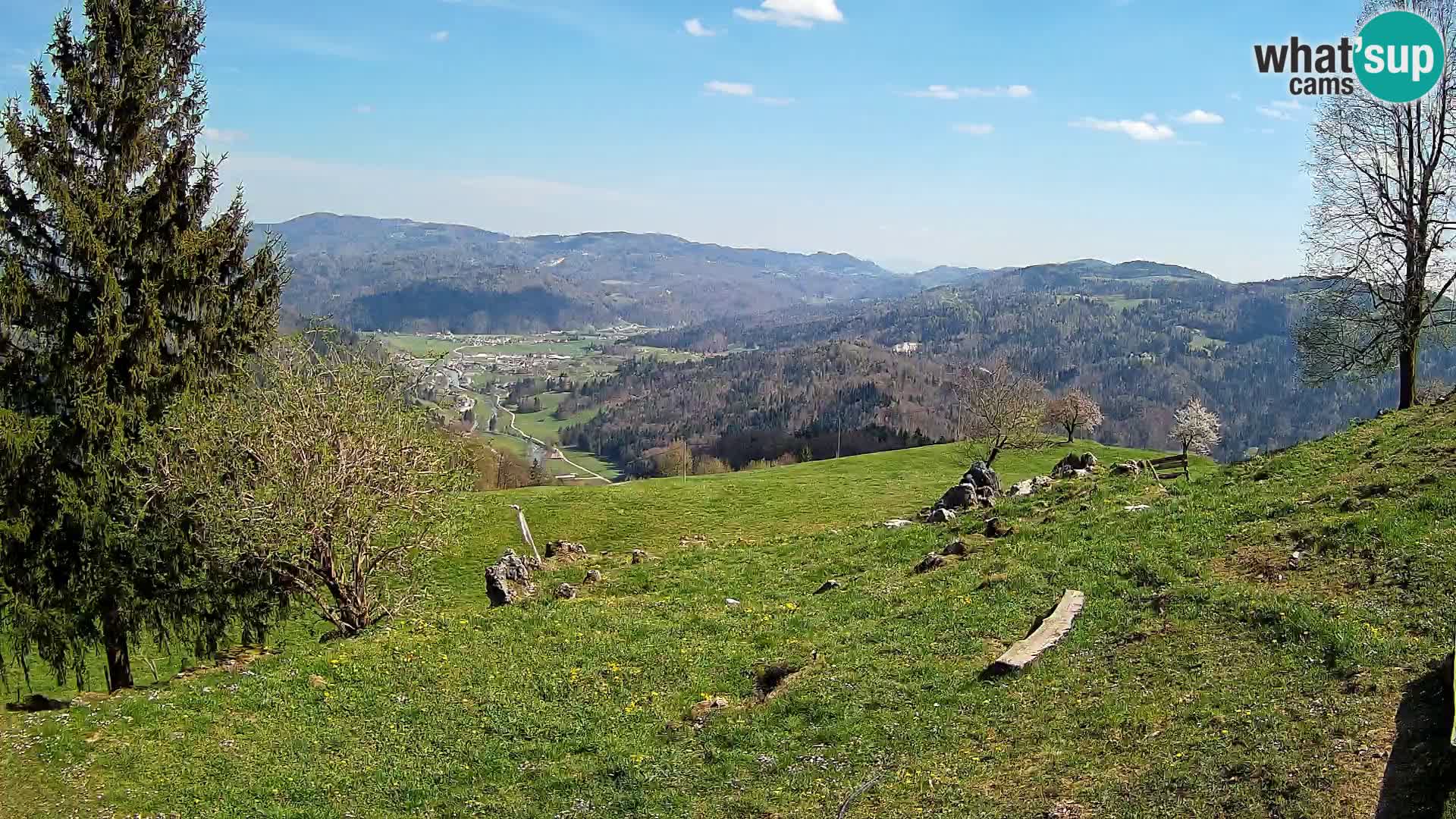 Slajka livecam | Gorenja Vas | Slovénie