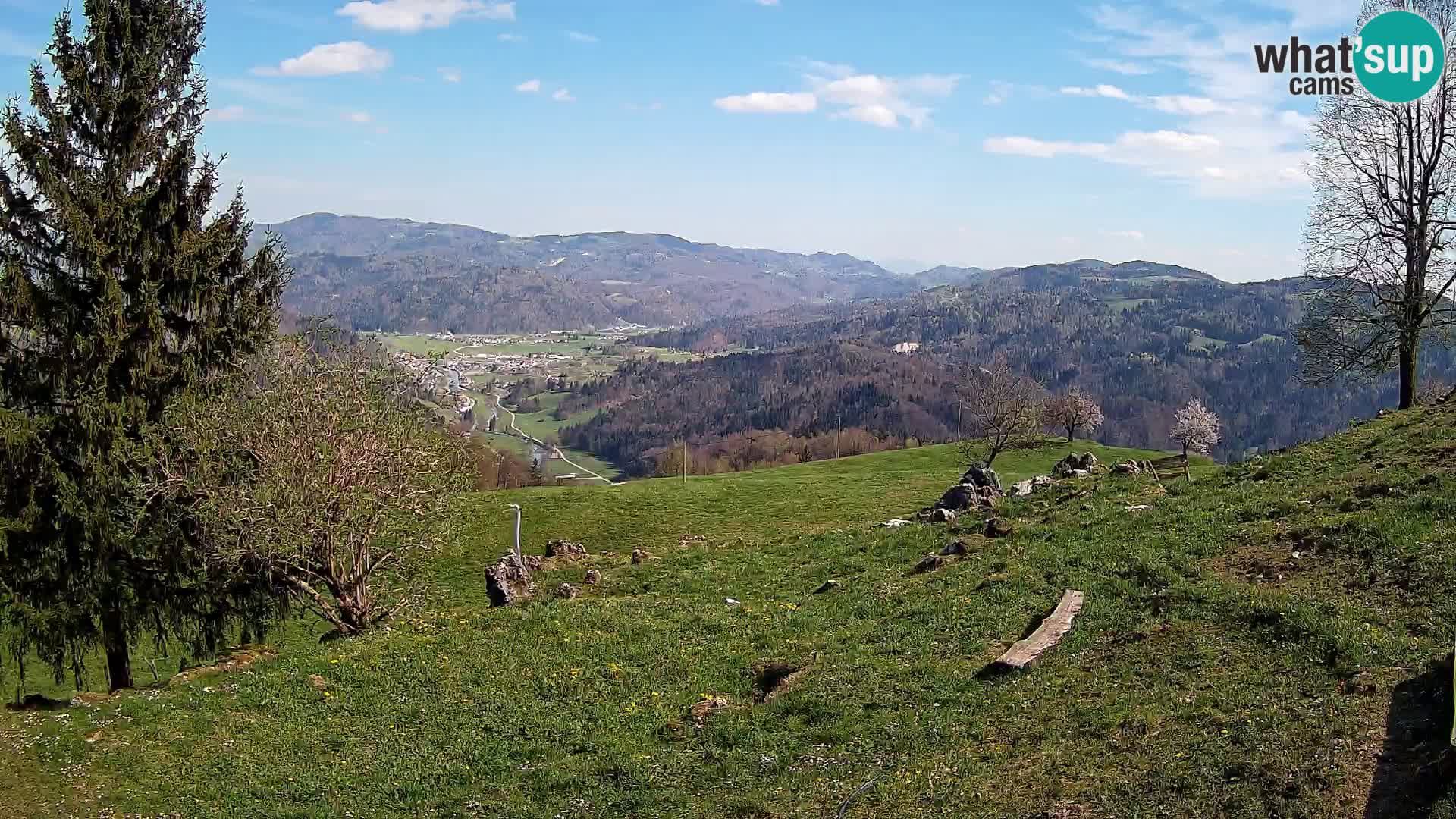 Slajka livecam | Gorenja Vas | Slovénie