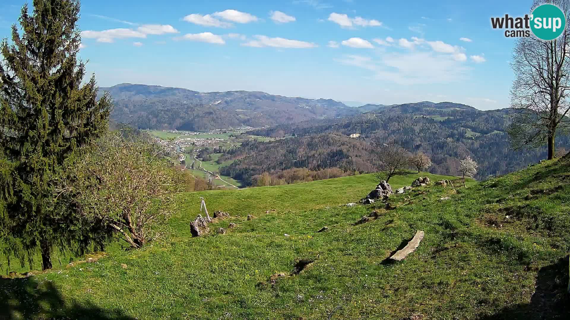 Slajka livecam | Gorenja Vas | Slovénie