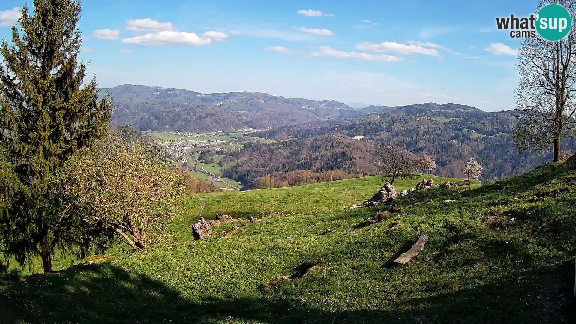 Slajka livecam | Gorenja Vas | Slovénie