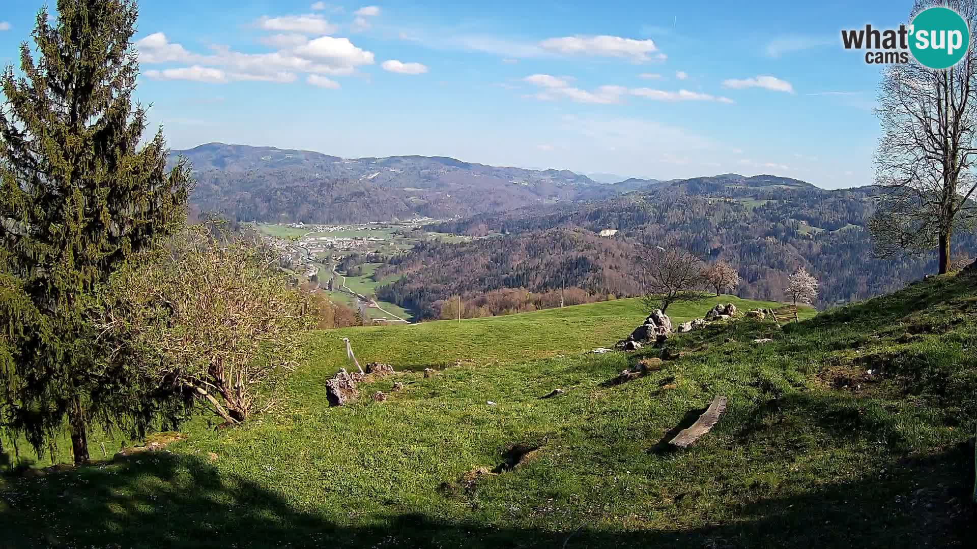 Slajka webam | Gorenja vas | Slovenia