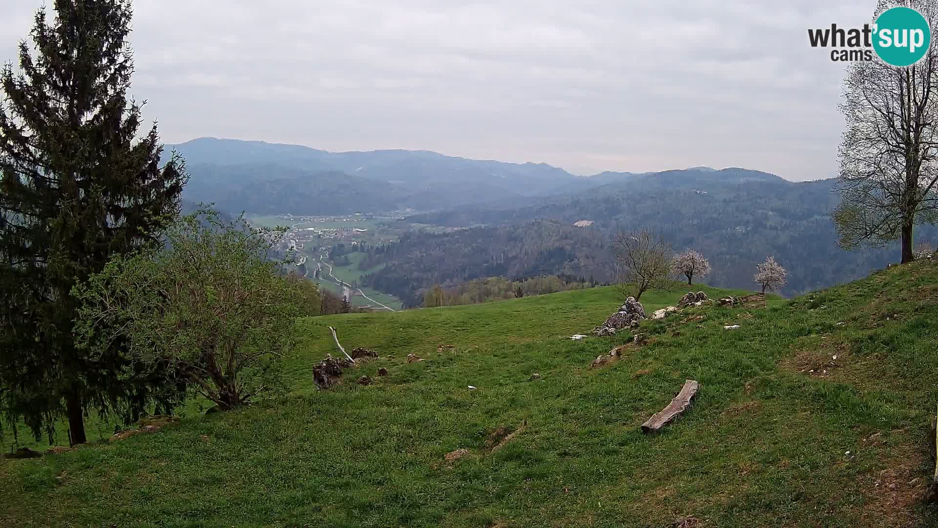 Slajka webam | Gorenja vas | Slovenia