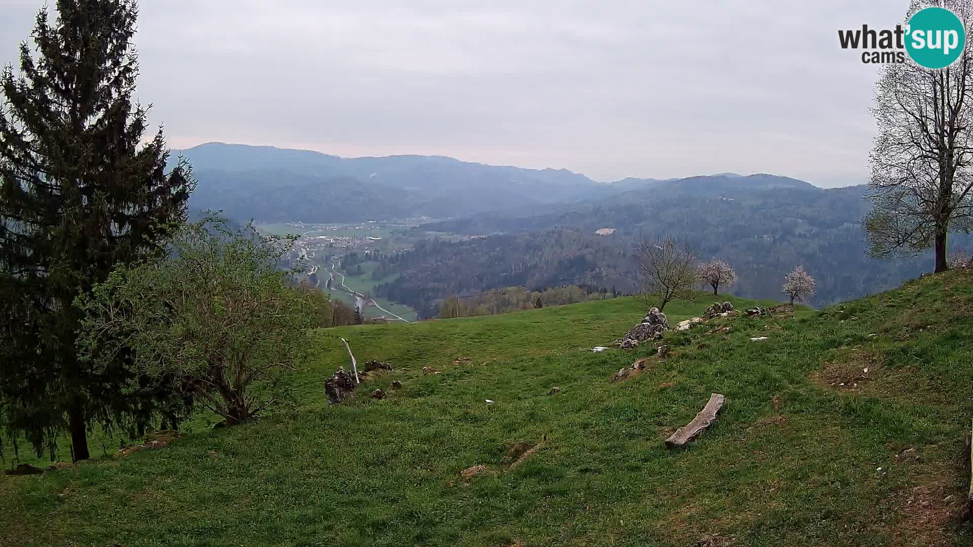 Slajka web kamera | Gorenja Vas | Slovenija