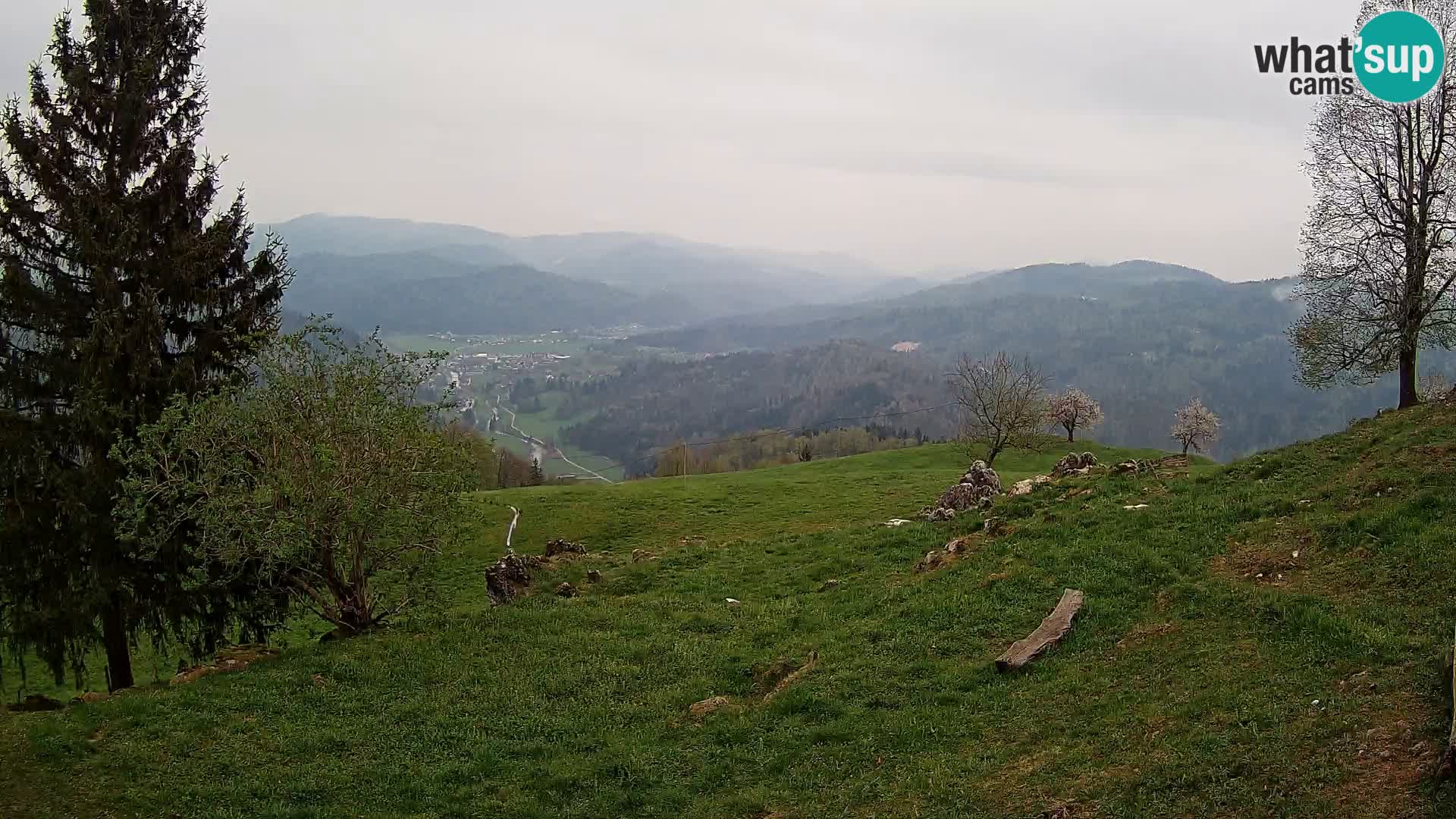 Slajka webam | Gorenja vas | Slovenia