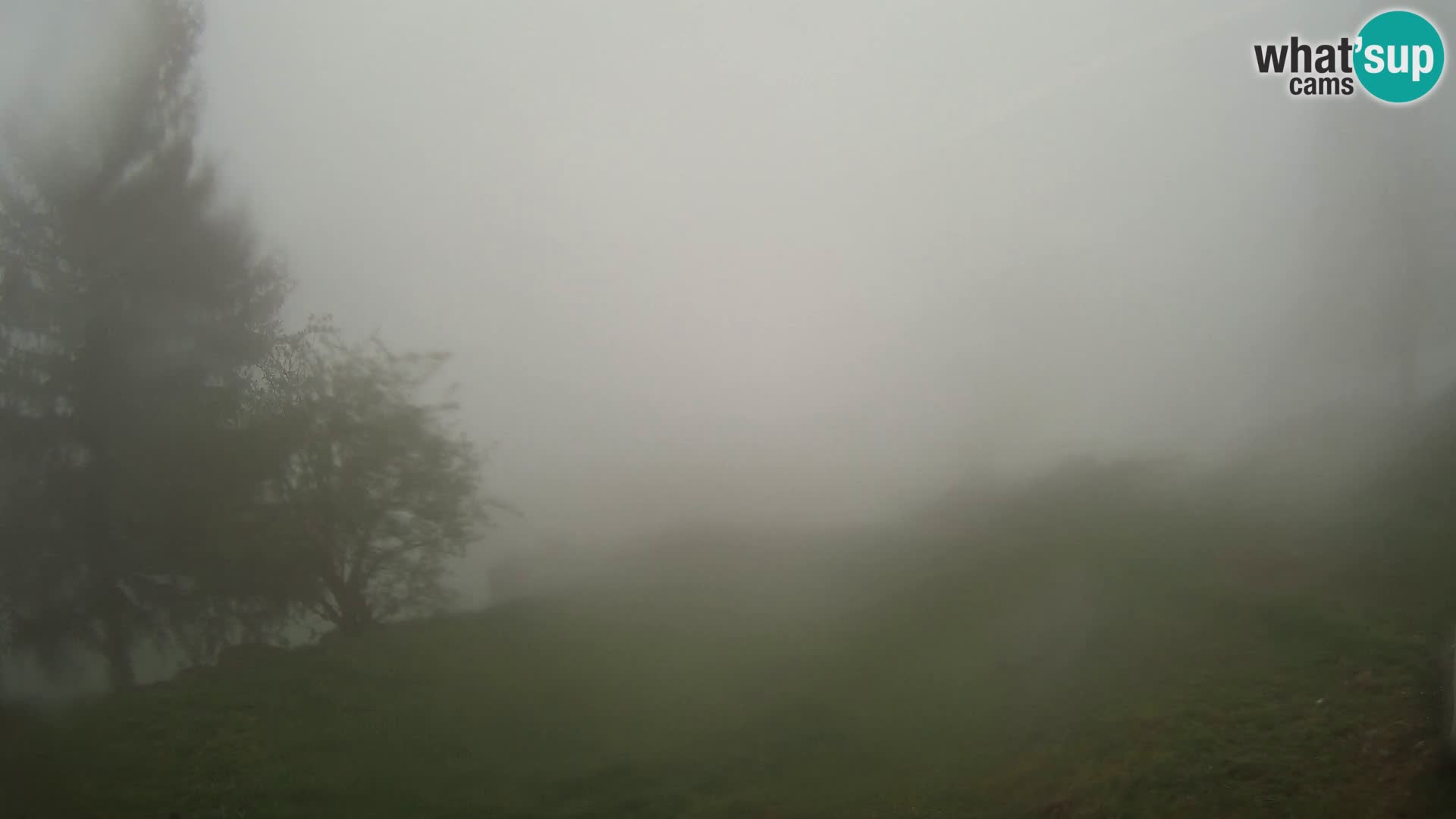 Slajka livecam | Gorenja Vas | Slovénie