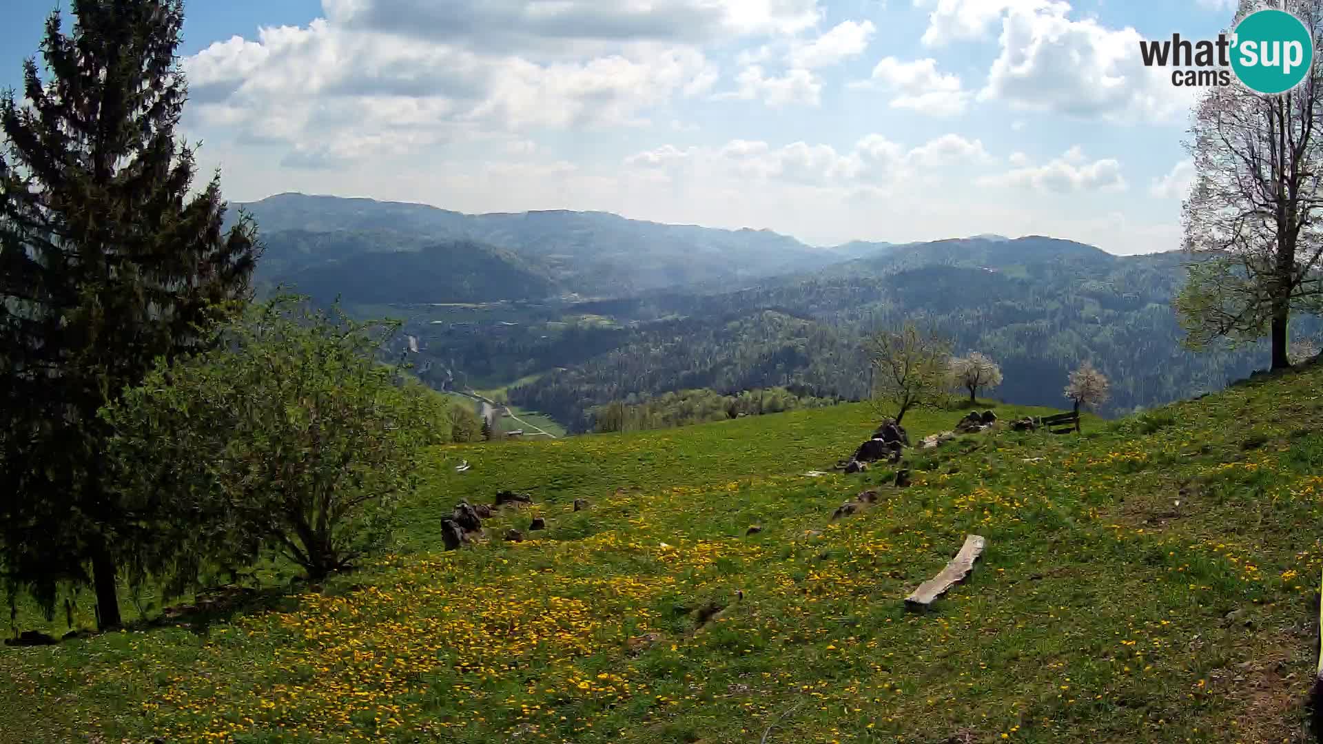 Slajka camera en vivo | Gorenja Vas | Eslovenia