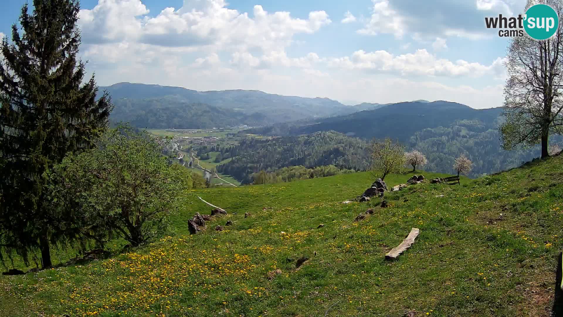 Slajka camera en vivo | Gorenja Vas | Eslovenia