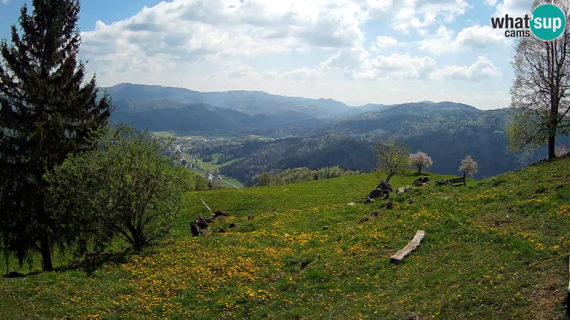 Slajka camera en vivo | Gorenja Vas | Eslovenia