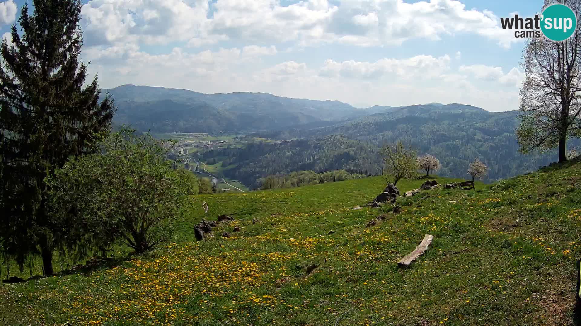 Slajka webam | Gorenja vas | Slovenia