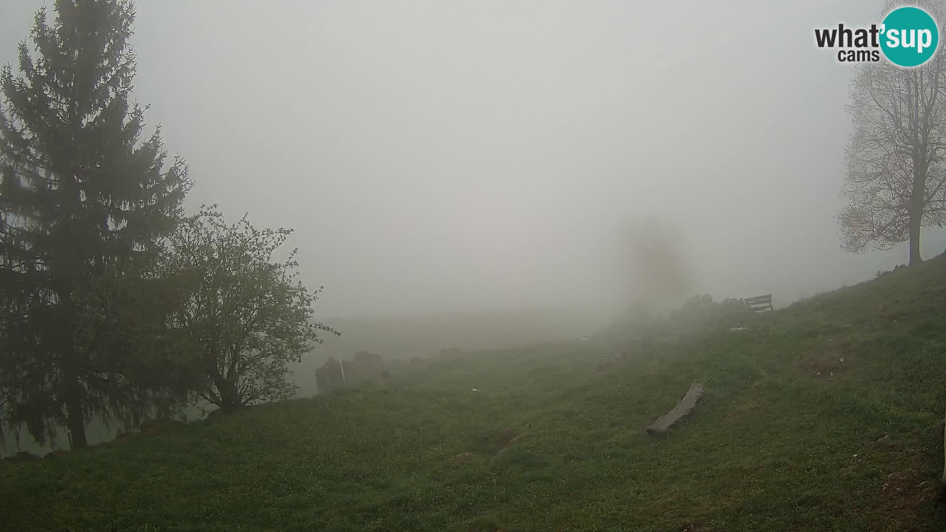 Slajka livecam | Gorenja Vas | Slovénie