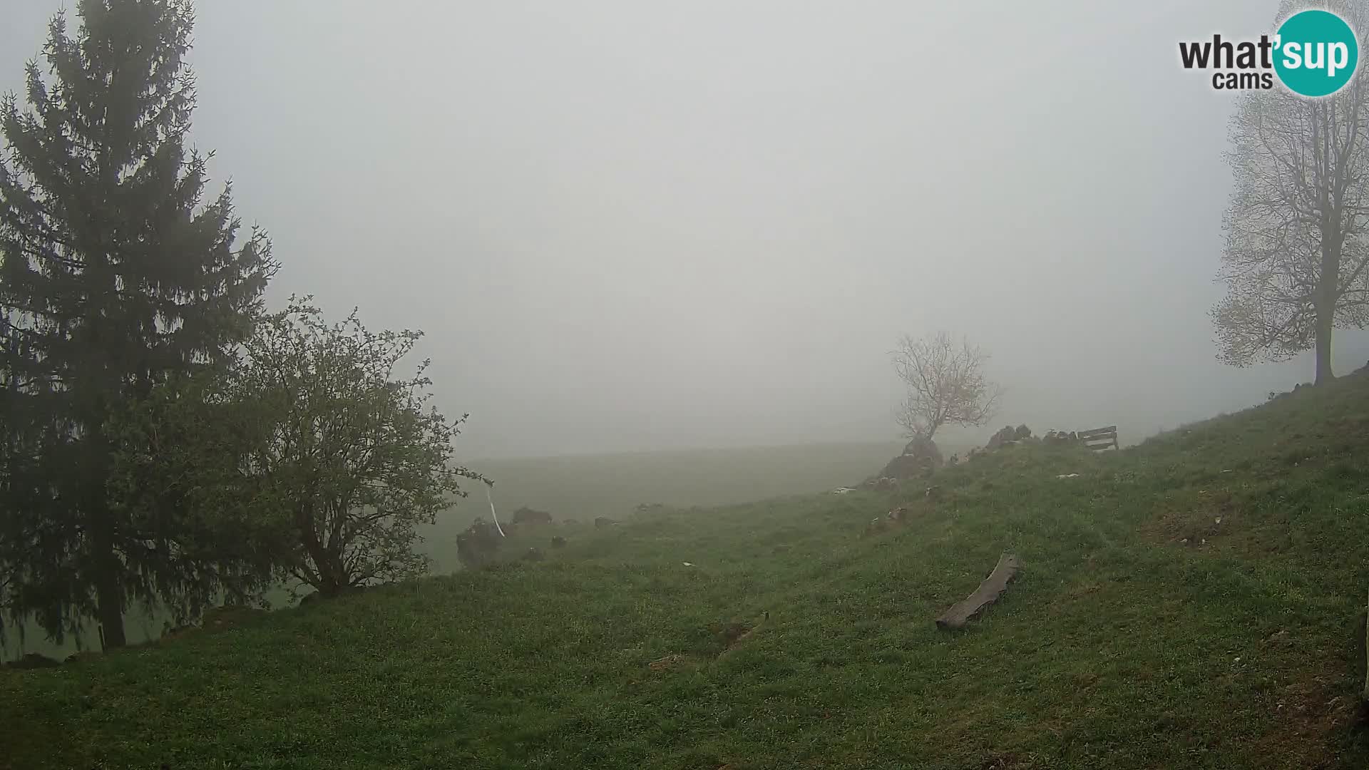 Slajka webam | Gorenja vas | Slovenia