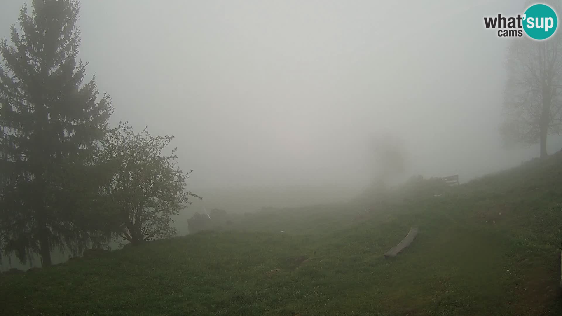 Slajka webam | Gorenja vas | Slovenia