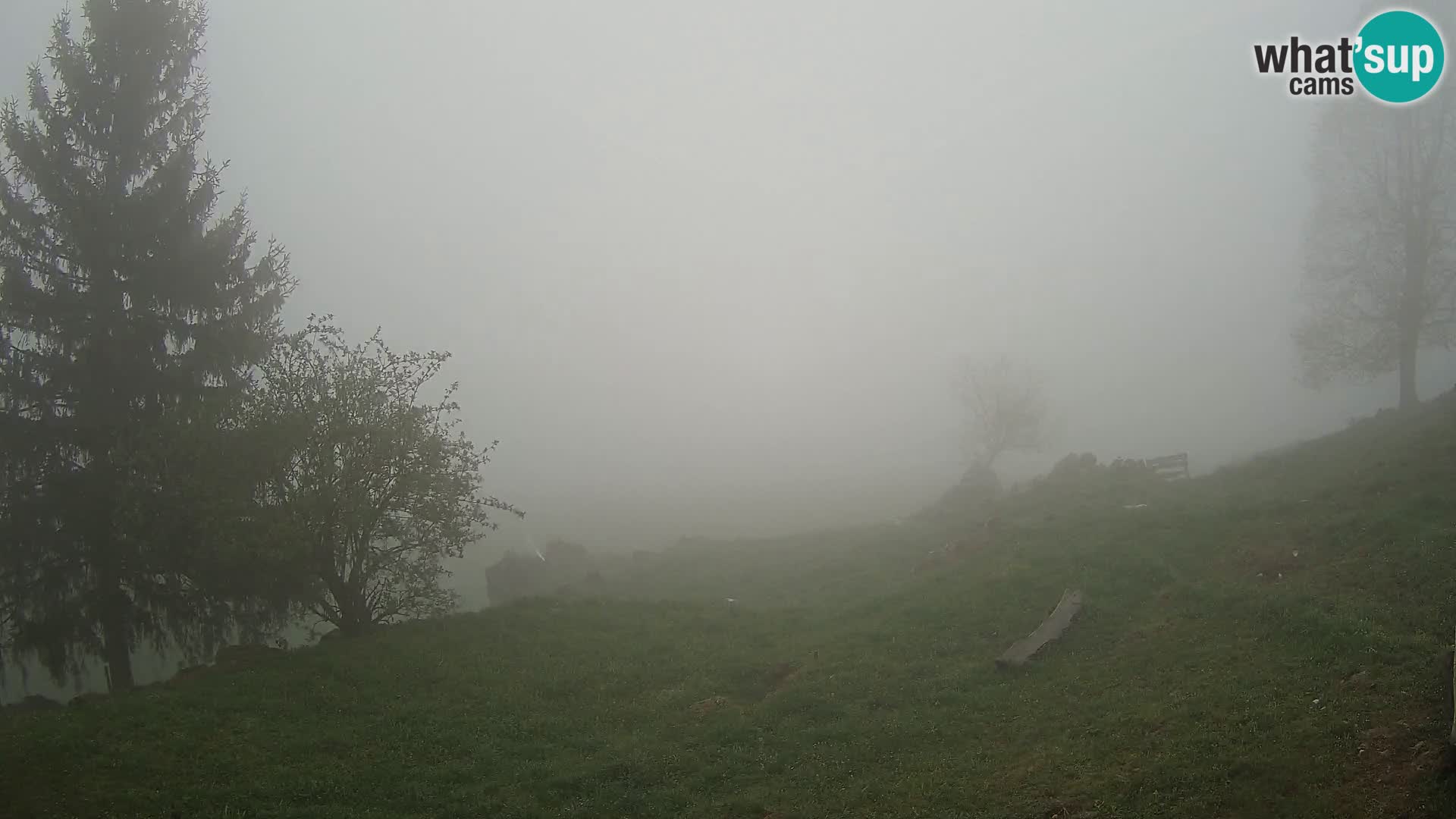 Slajka webcam | Gorenja Vas | Slowenien