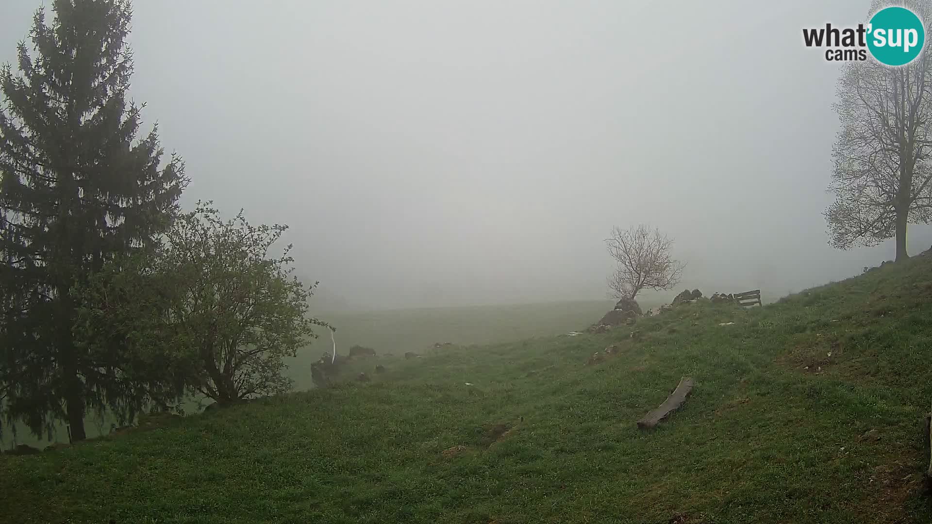 Slajka webam | Gorenja vas | Slovenia