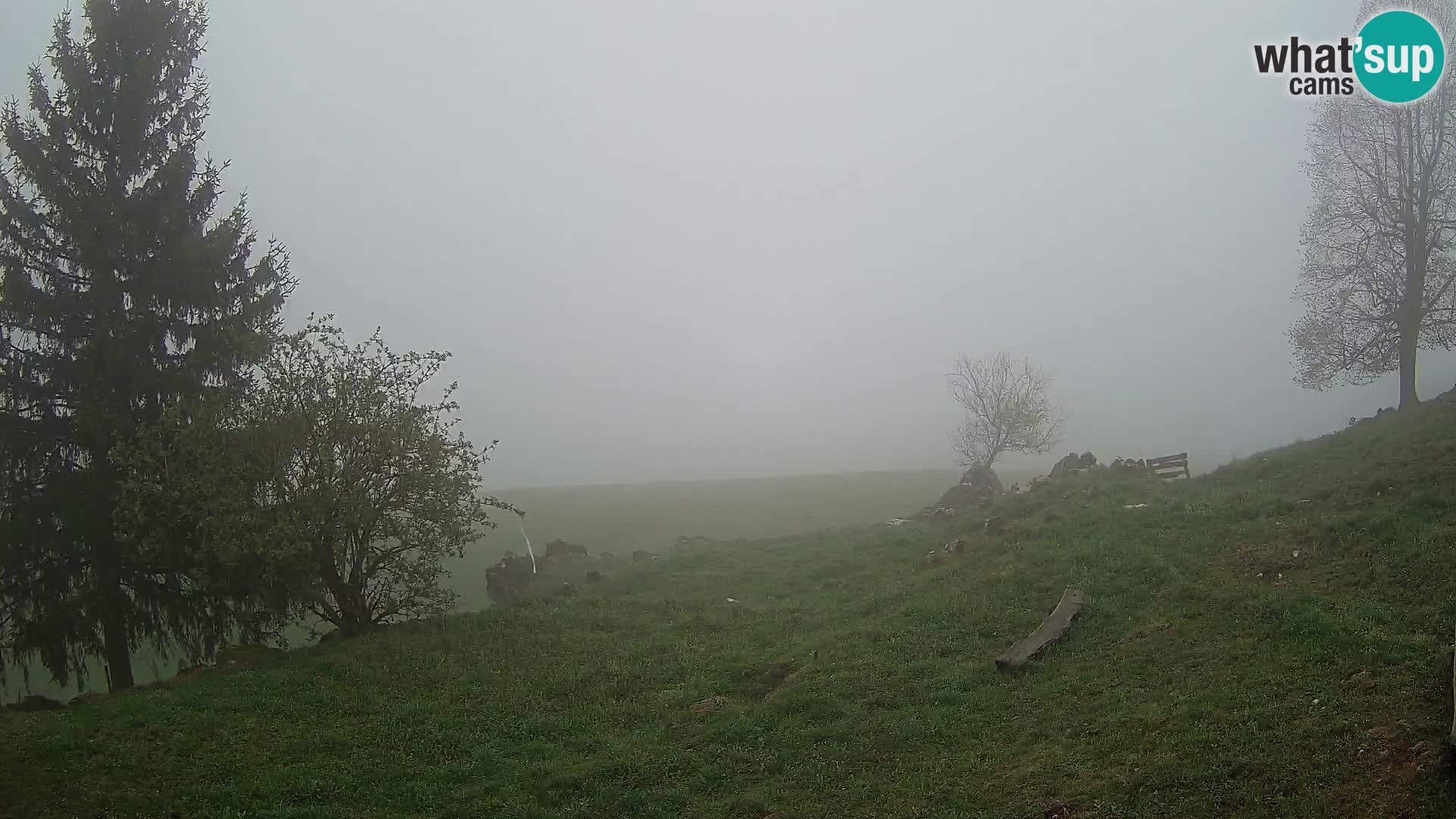 Slajka web kamera | Gorenja Vas | Slovenija