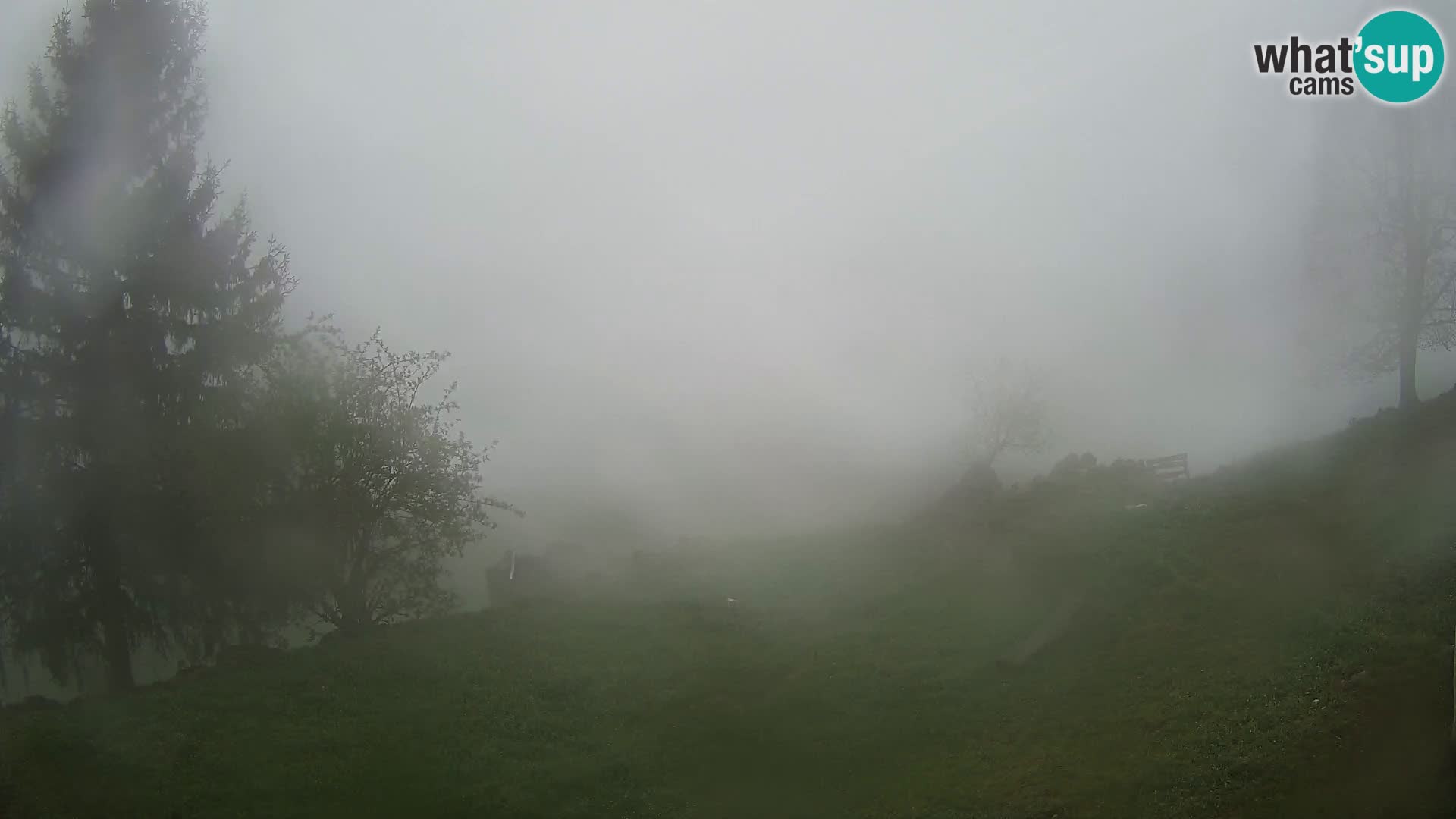 Slajka webam | Gorenja vas | Slovenia