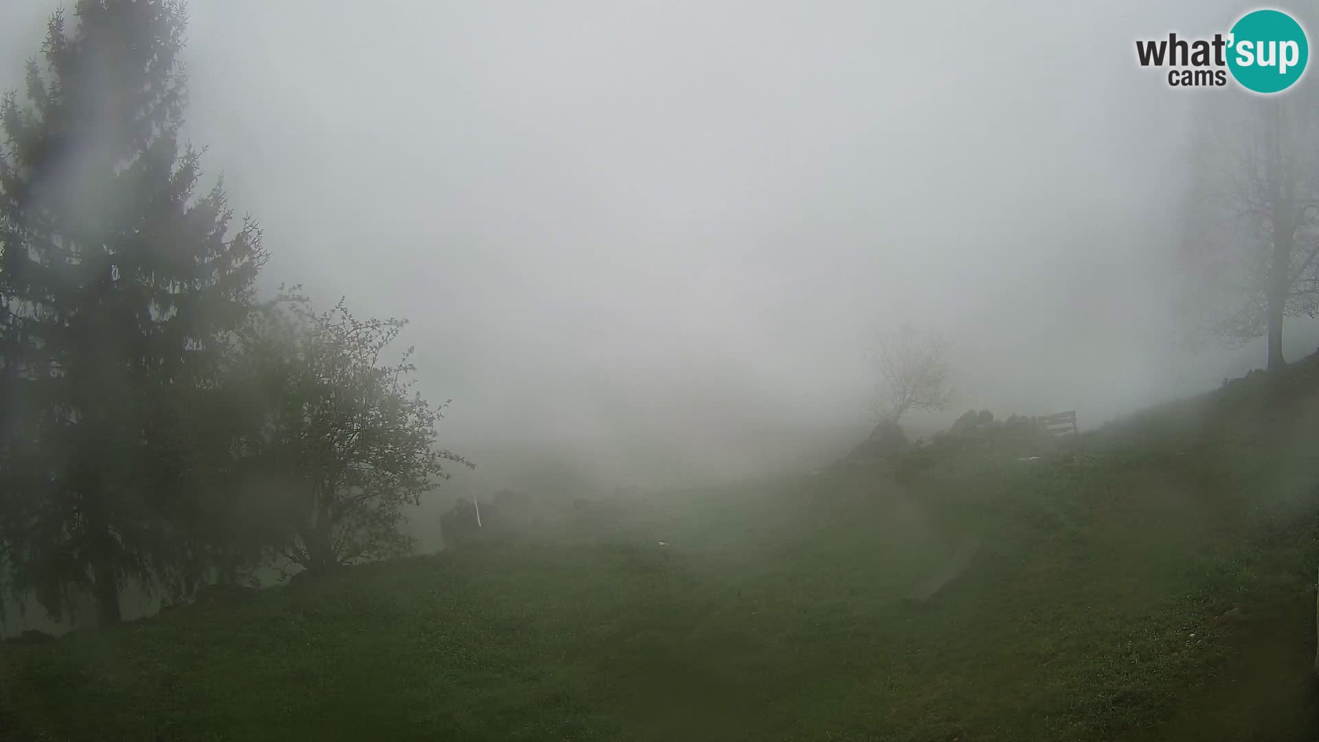 Slajka camera en vivo | Gorenja Vas | Eslovenia