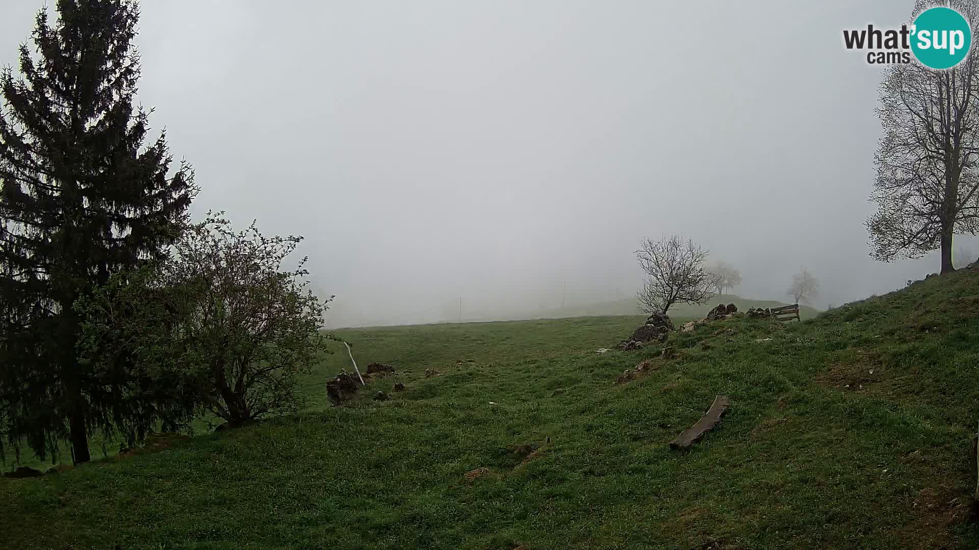 Slajka webam | Gorenja vas | Slovenia