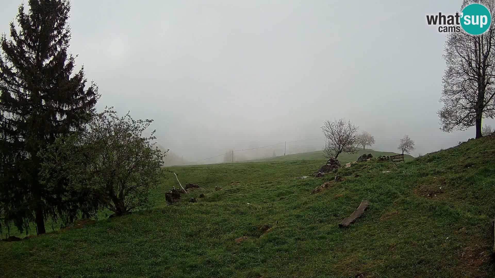 Slajka livecam | Gorenja Vas | Slovénie