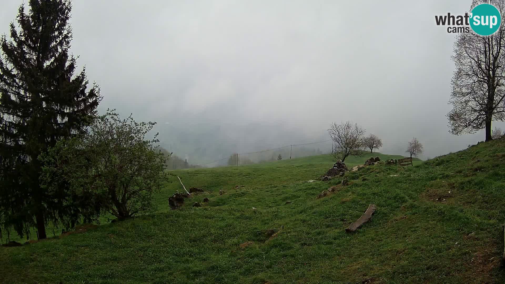 Slajka livecam | Gorenja Vas | Slovénie