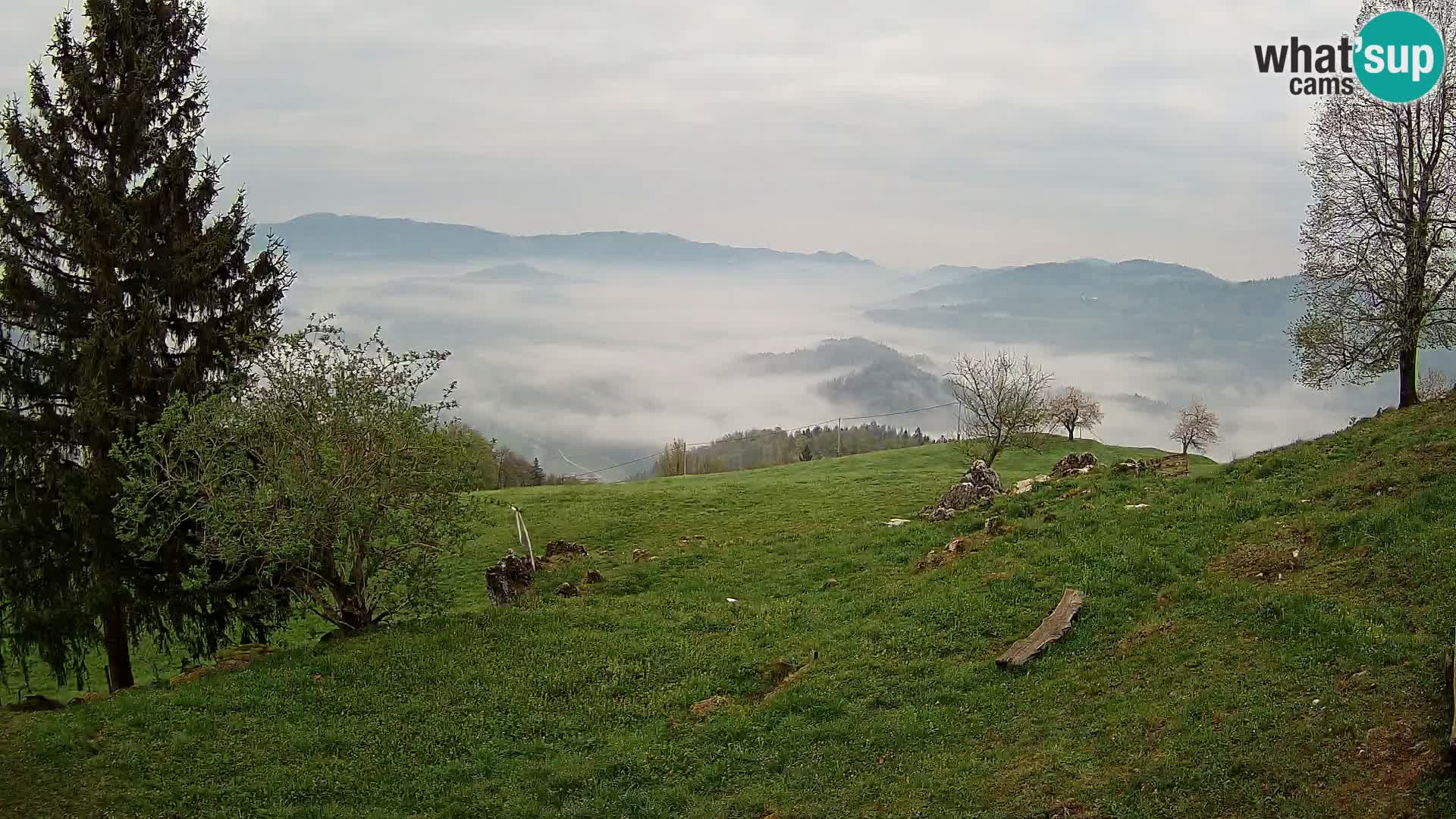 Slajka webam | Gorenja vas | Slovenia