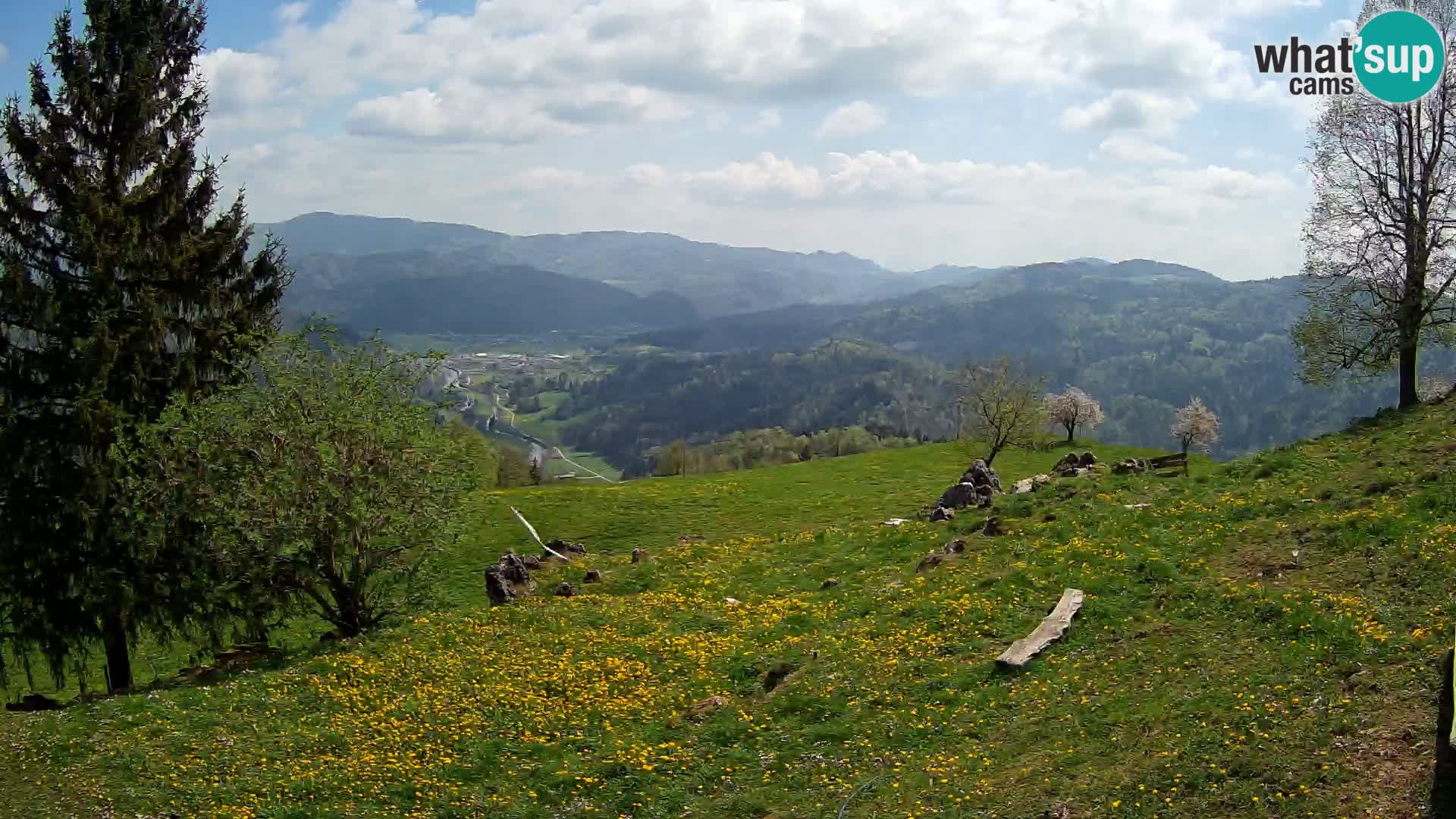 Slajka webam | Gorenja vas | Slovenia