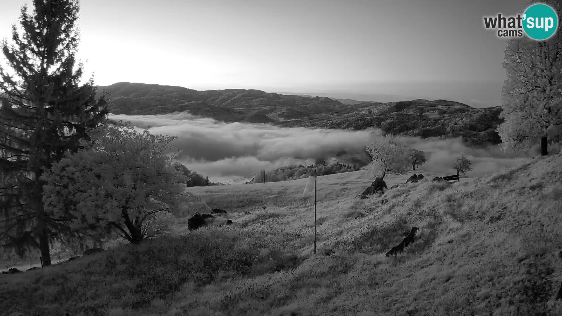 Slajka livecam | Gorenja Vas | Slovénie