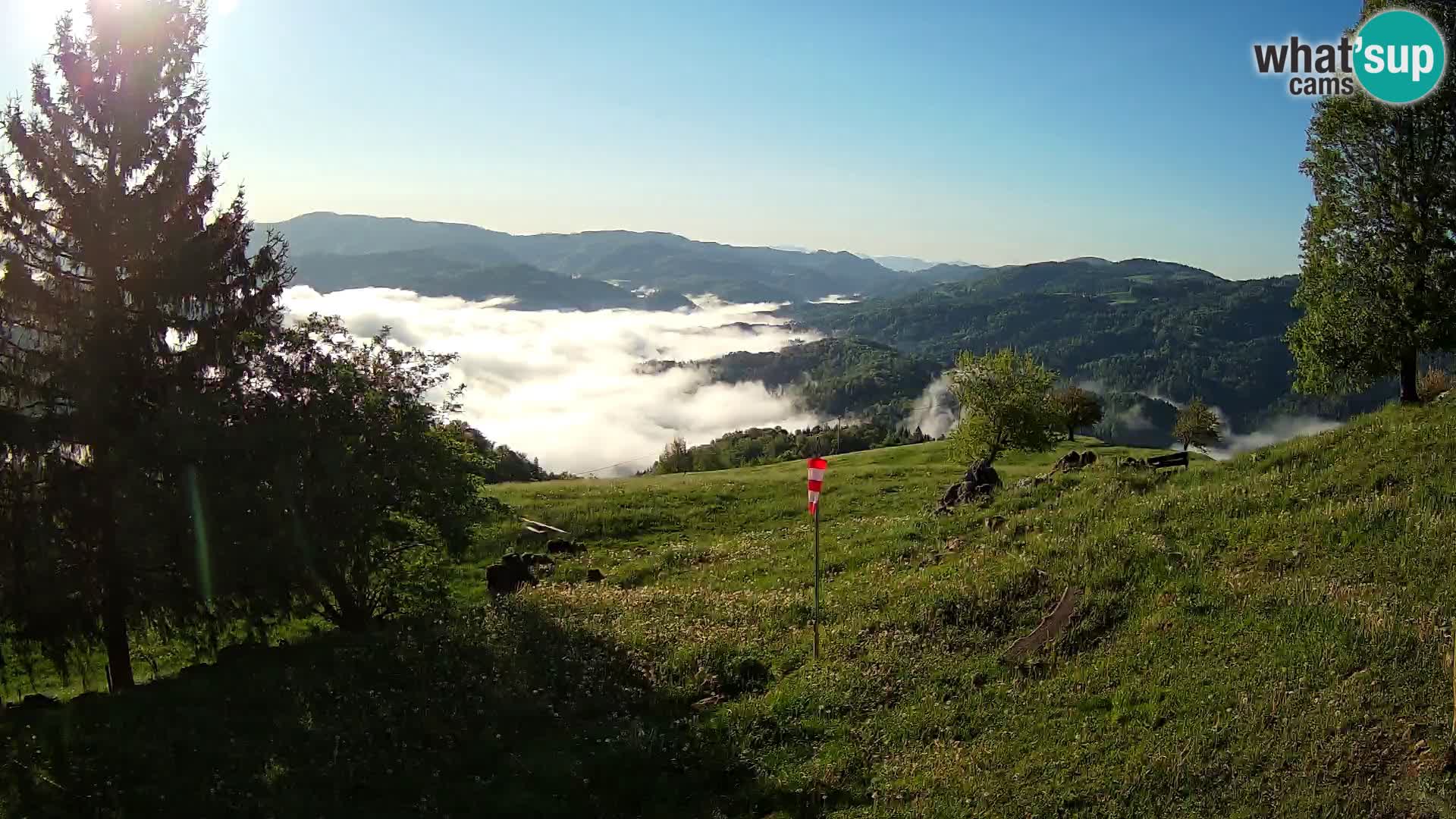 Slajka webam | Gorenja vas | Slovenia
