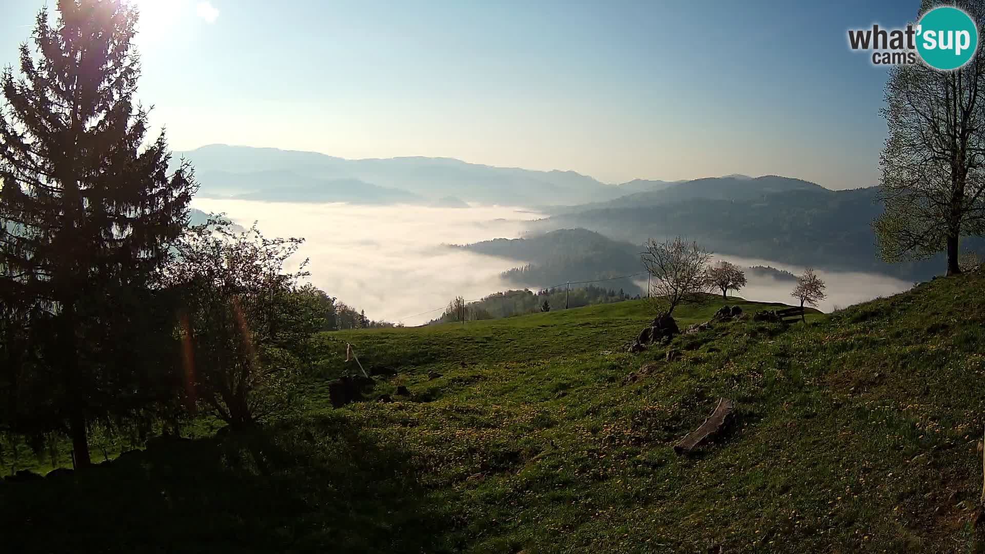 Slajka livecam | Gorenja Vas | Slovénie