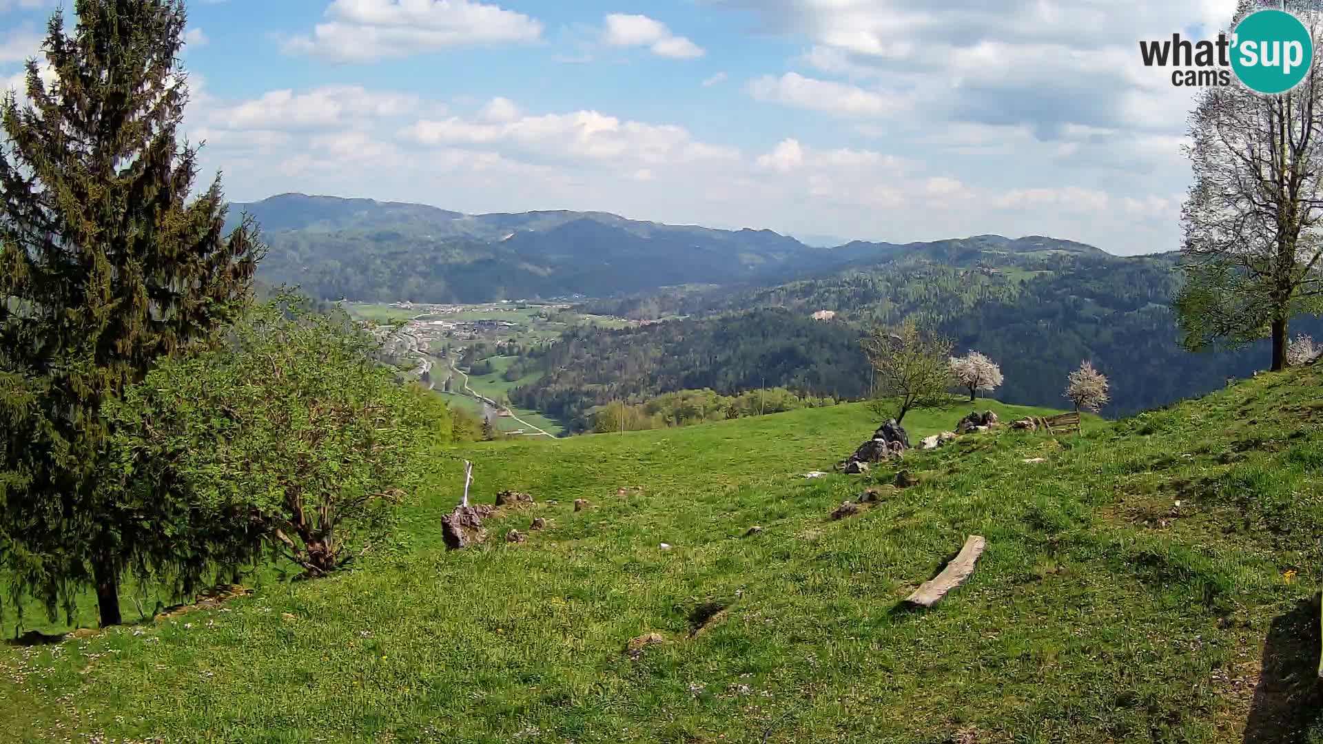 Slajka camera en vivo | Gorenja Vas | Eslovenia