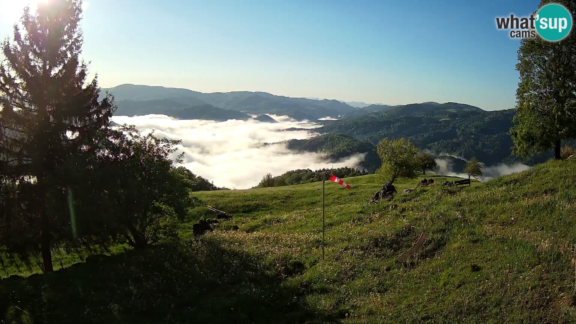 Slajka webam | Gorenja vas | Slovenia