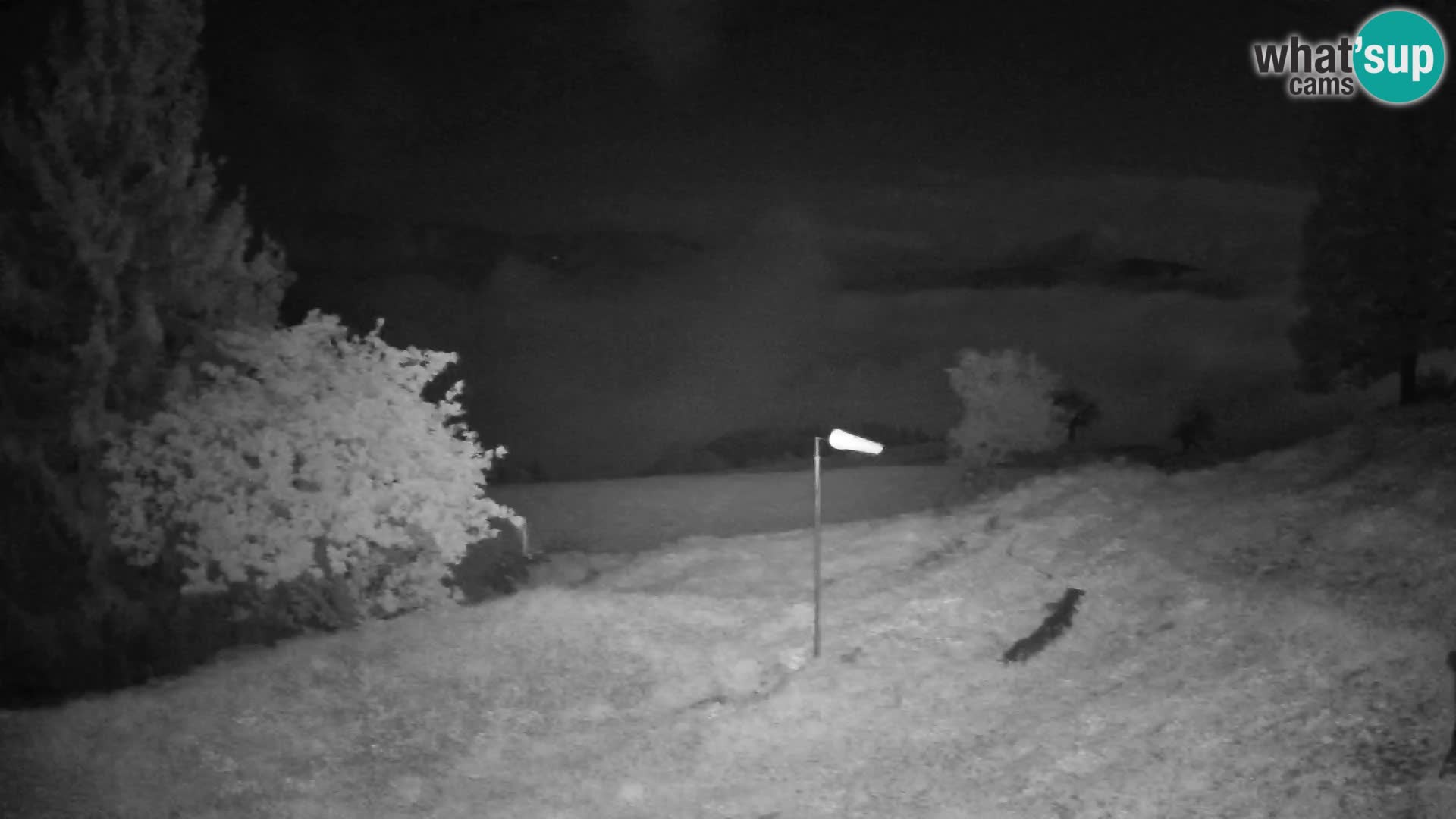 Slajka livecam | Gorenja Vas | Slovénie