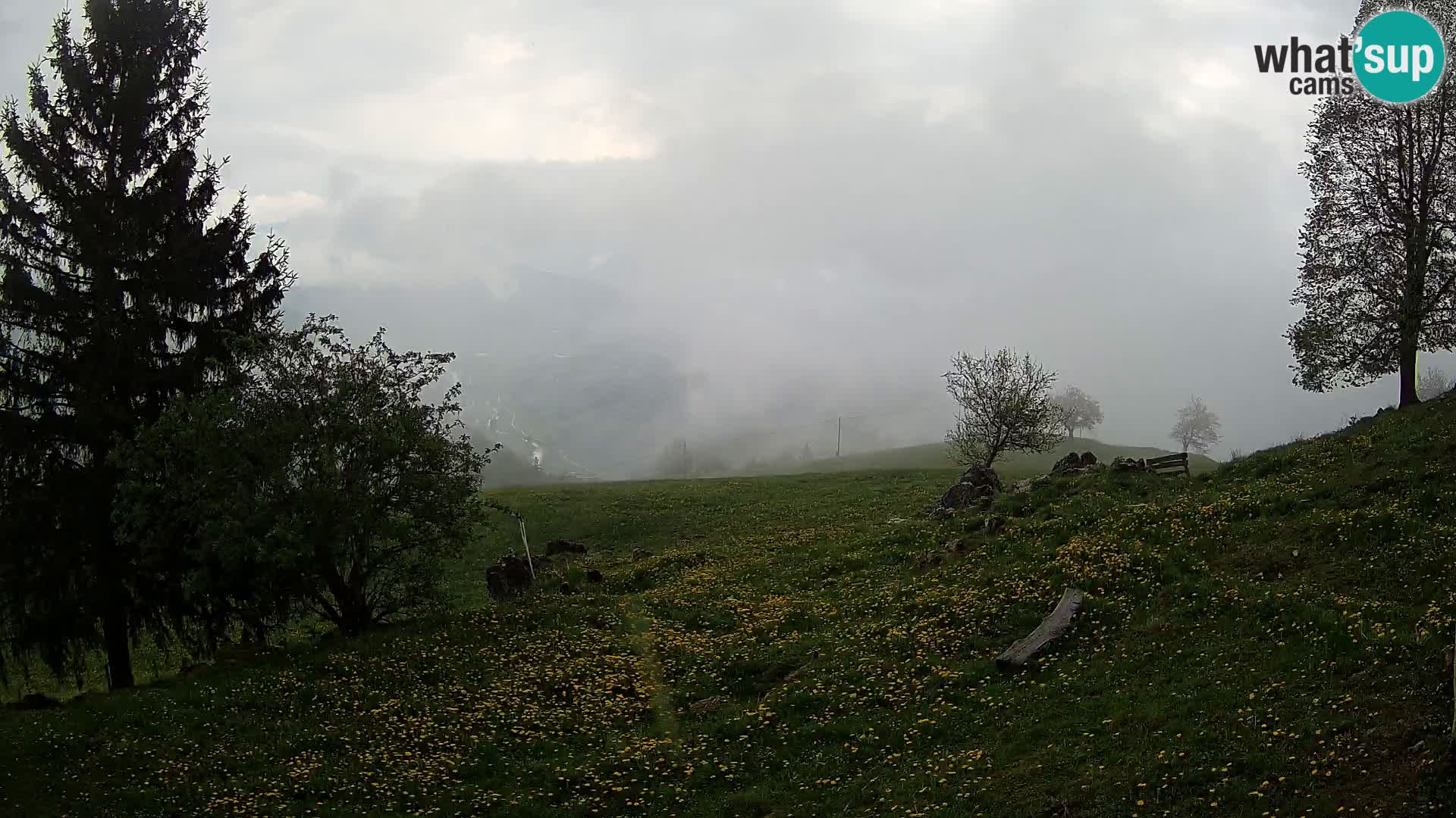 Slajka webcam | Gorenja Vas | Slowenien