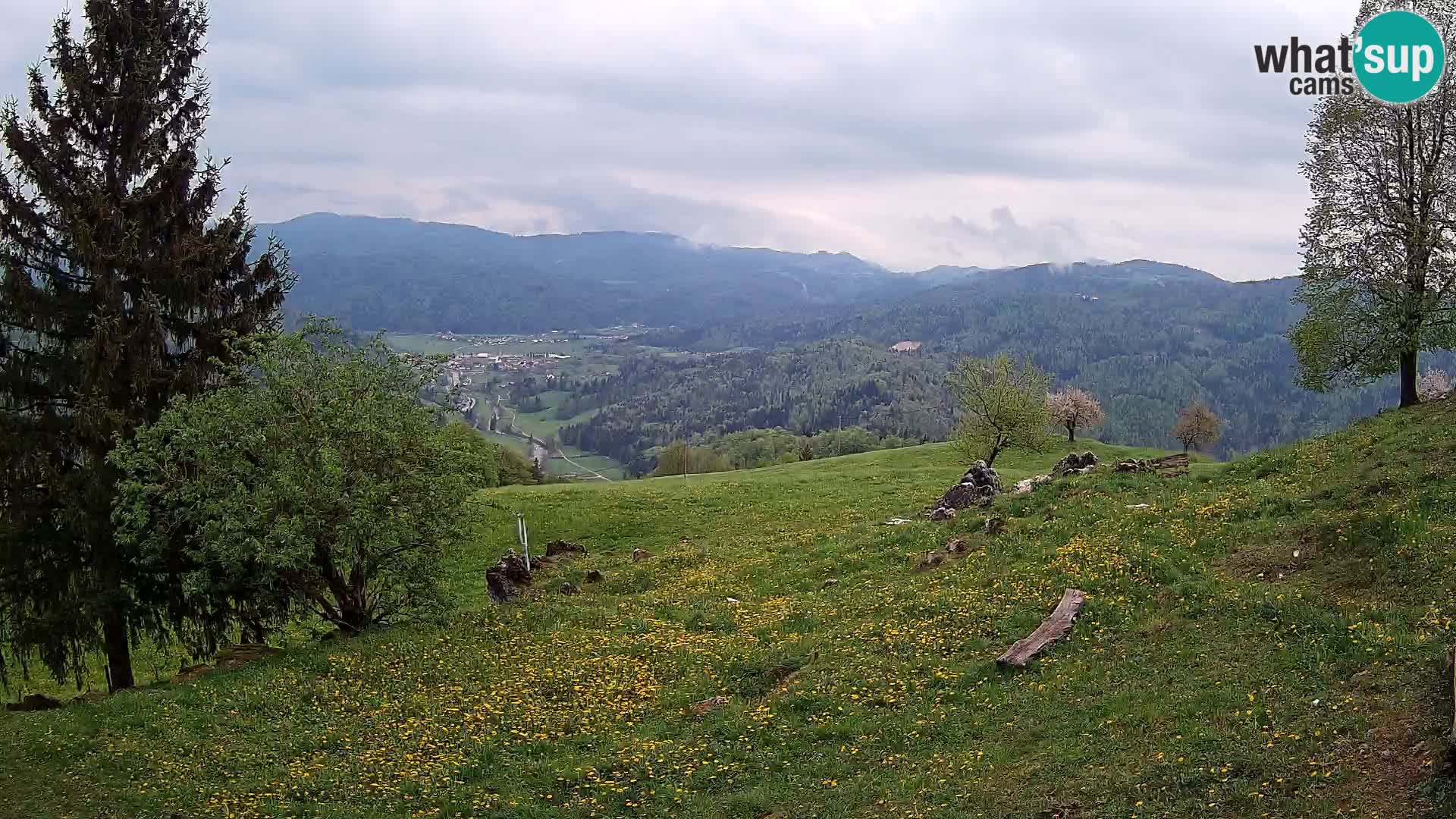 Slajka webcam | Gorenja Vas | Slowenien