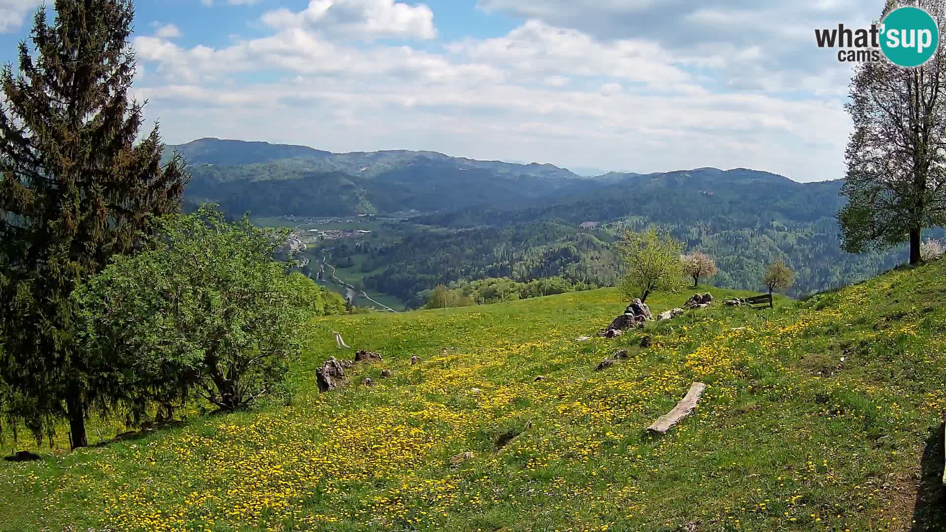 Slajka webam | Gorenja vas | Slovenia