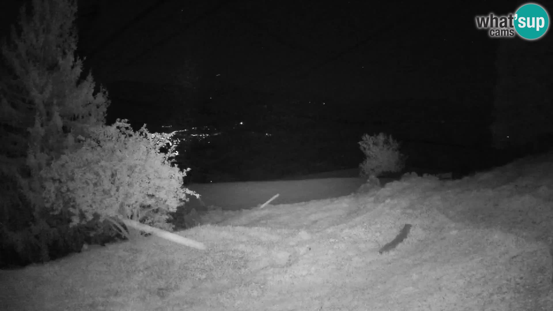 Slajka webam | Gorenja vas | Slovenia