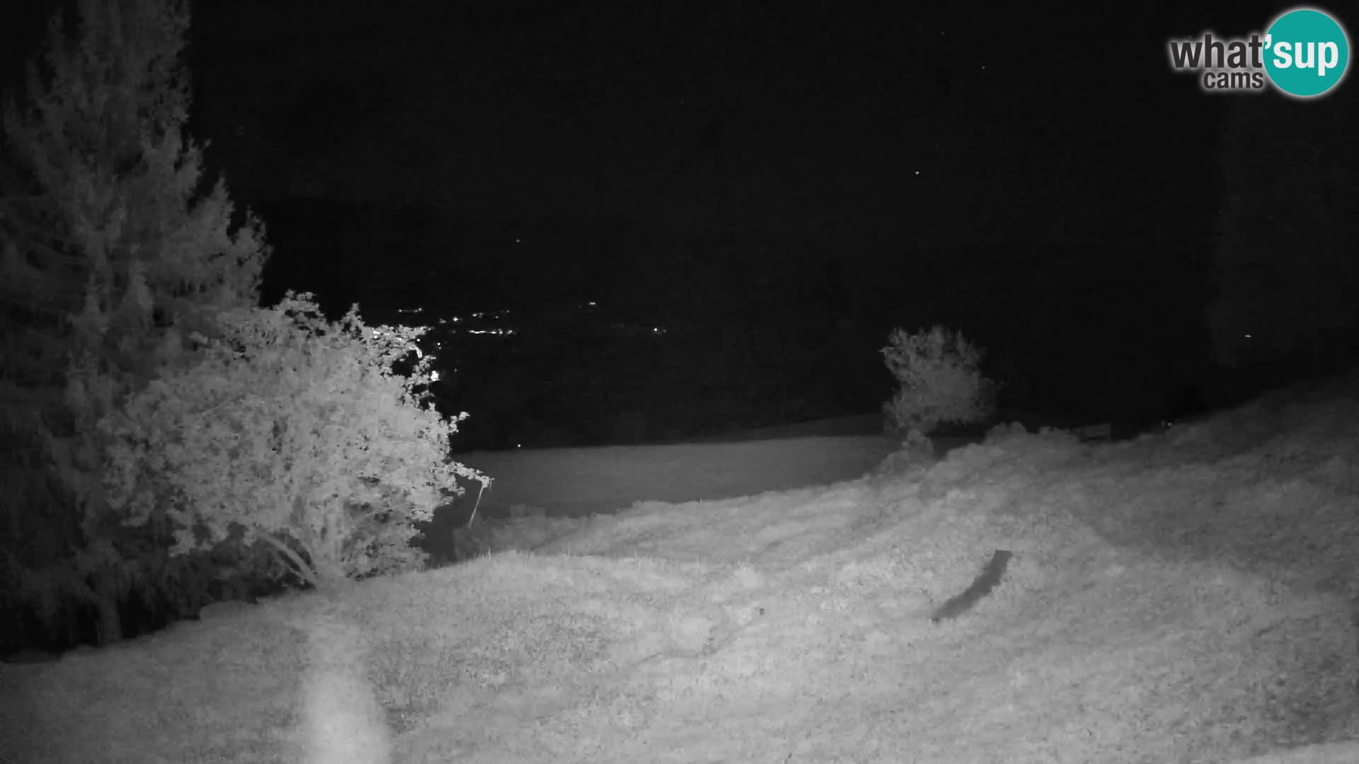 Slajka camera en vivo | Gorenja Vas | Eslovenia