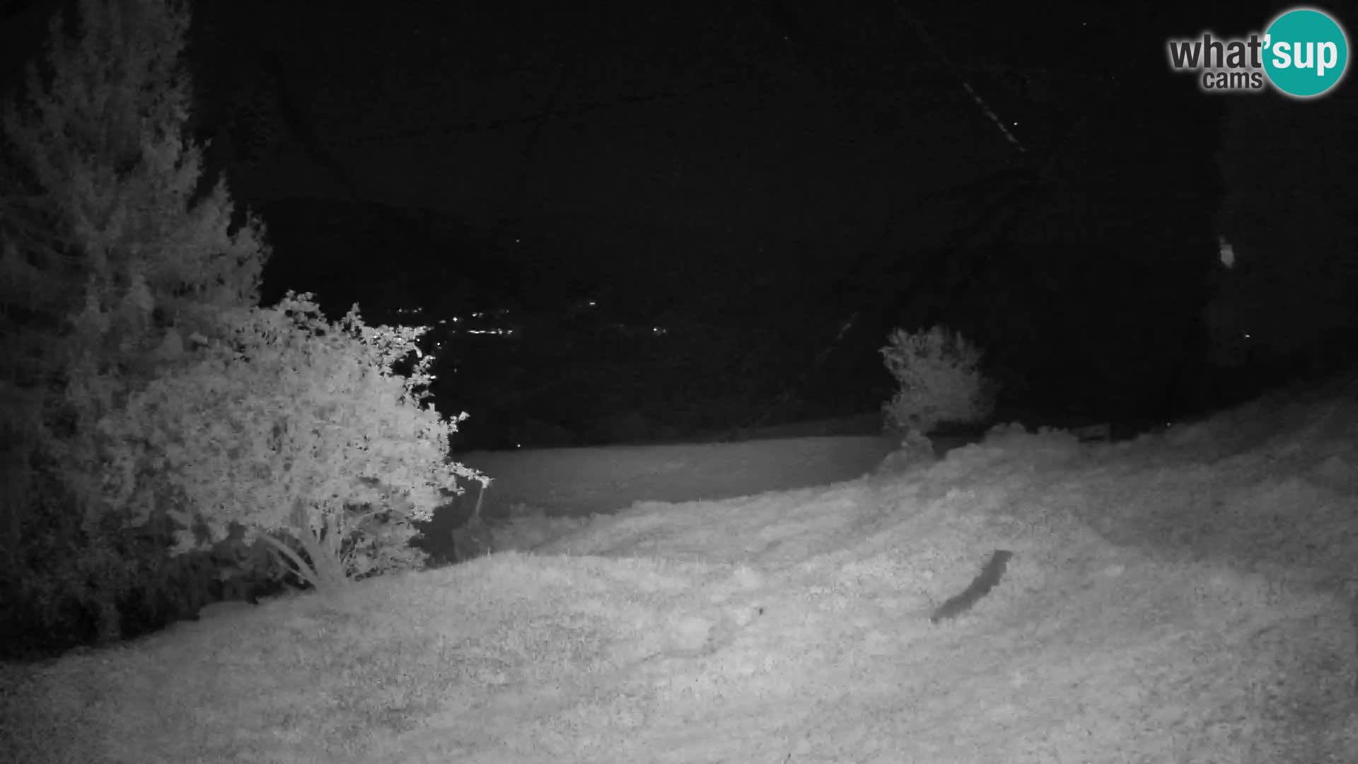 Slajka camera en vivo | Gorenja Vas | Eslovenia