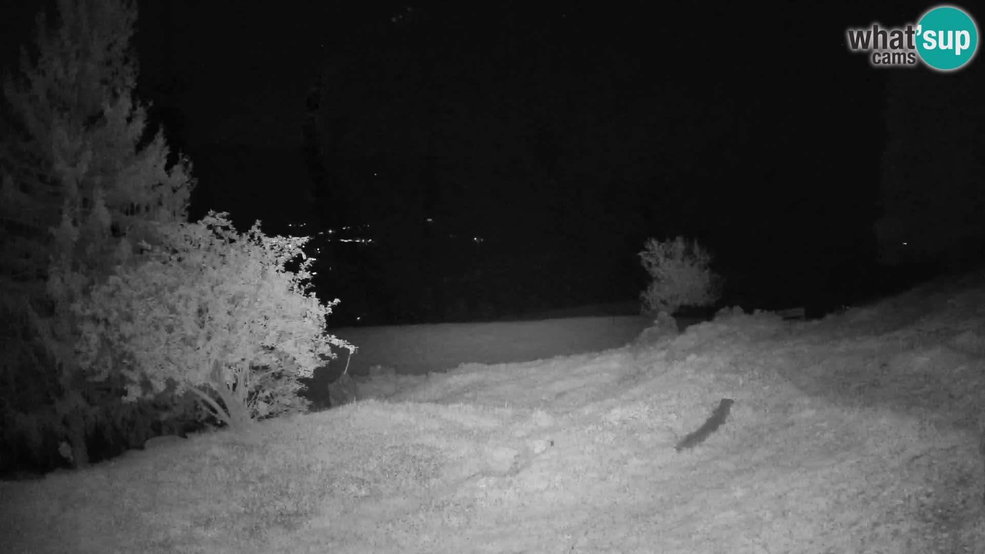 Slajka webcam | Gorenja Vas | Slowenien