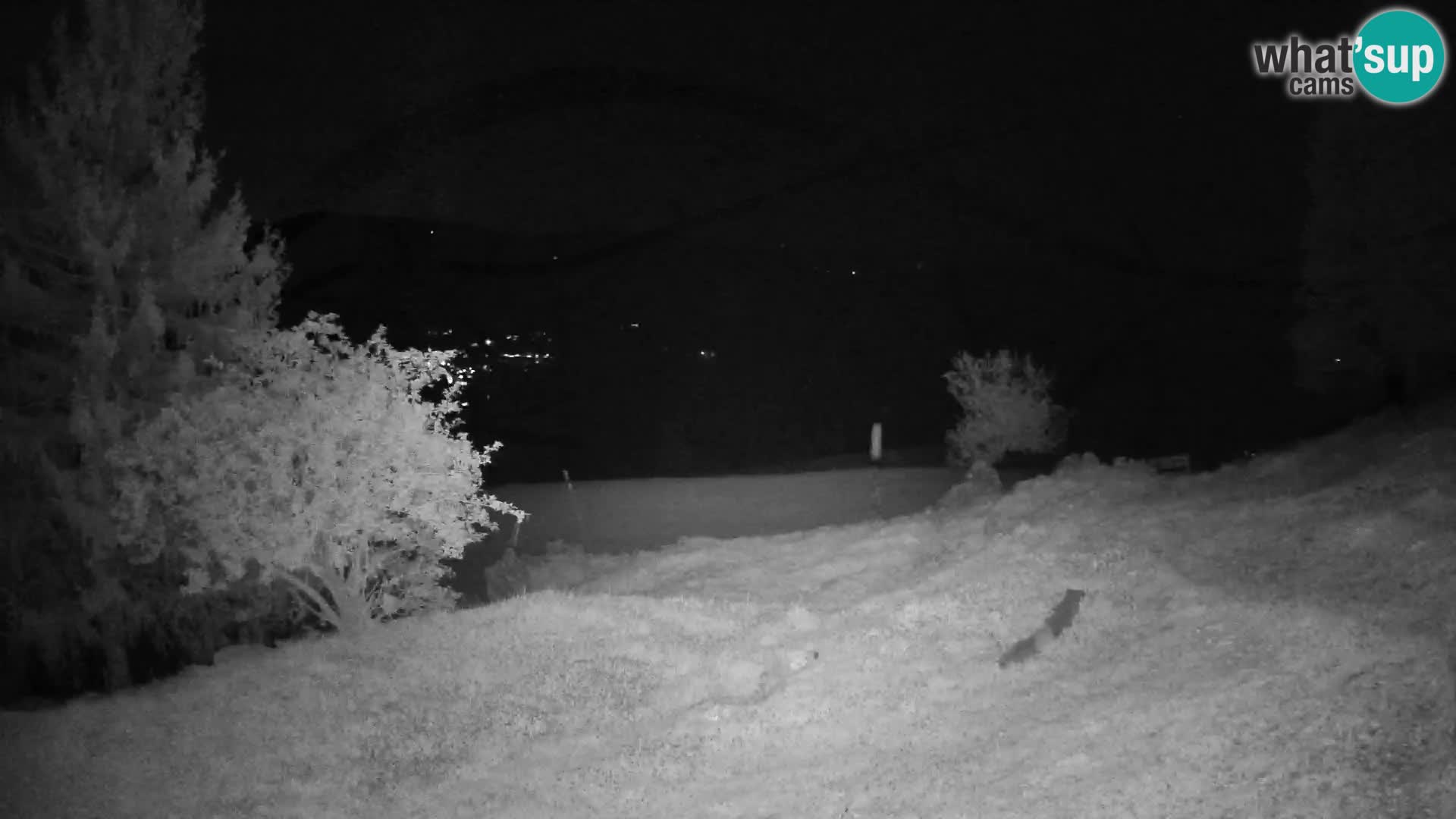 Slajka webcam | Gorenja Vas | Slowenien