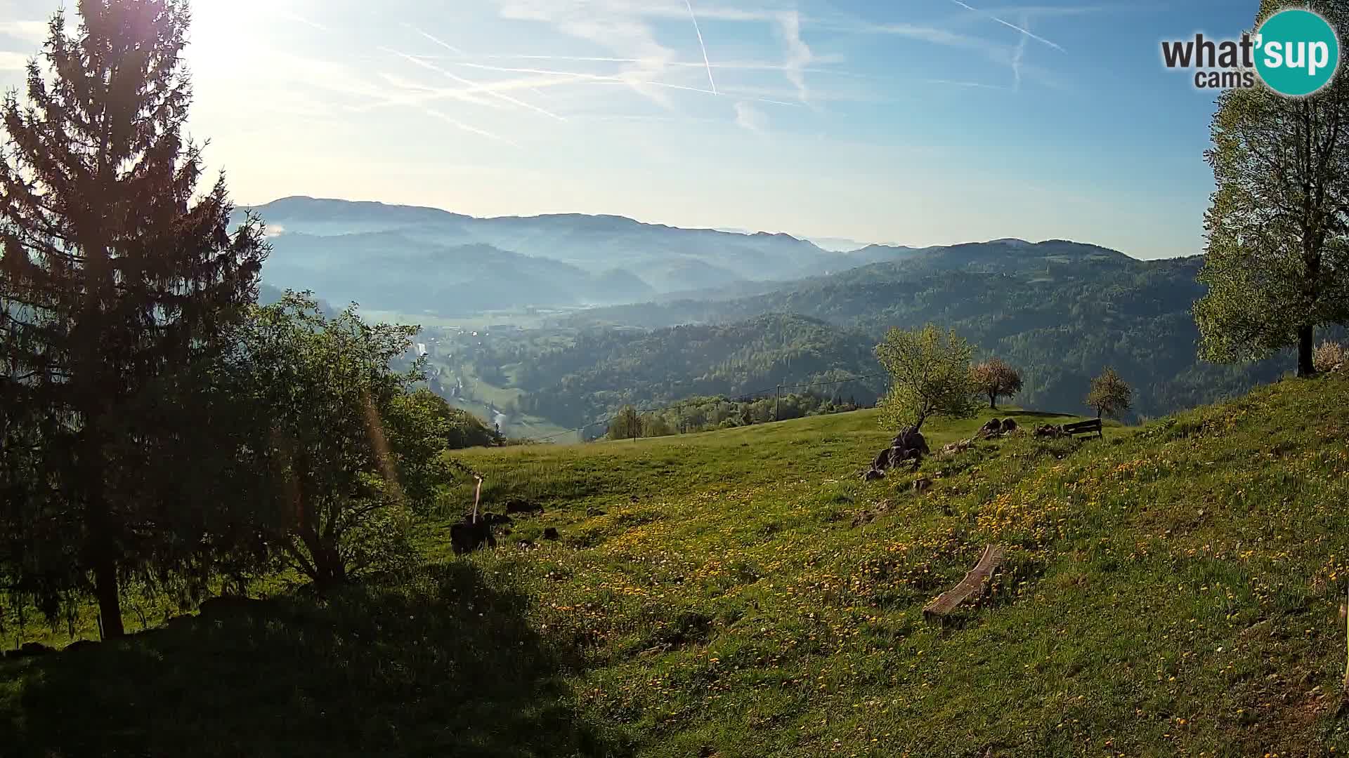 Slajka camera en vivo | Gorenja Vas | Eslovenia
