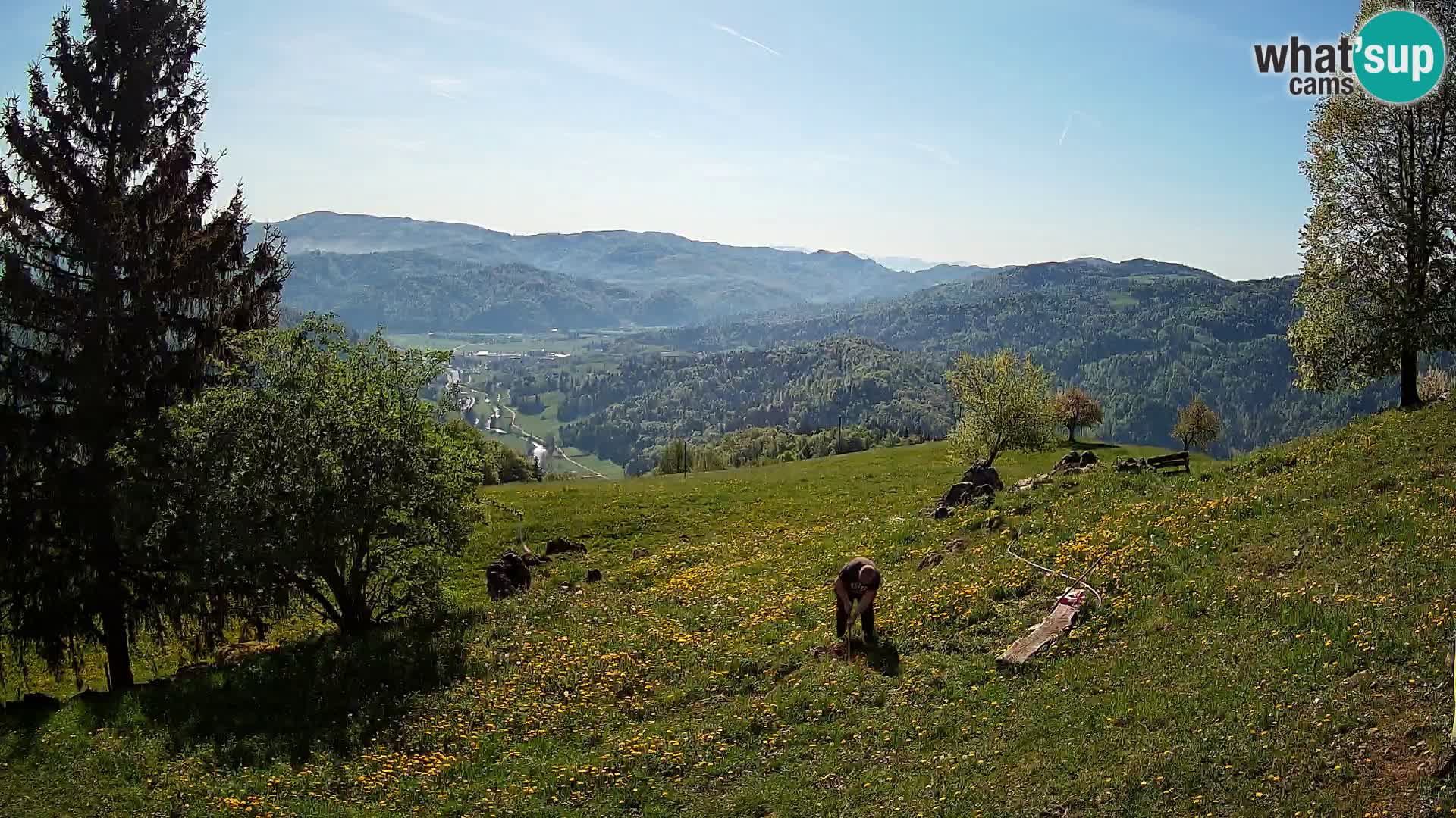 Slajka livecam | Gorenja Vas | Slovénie