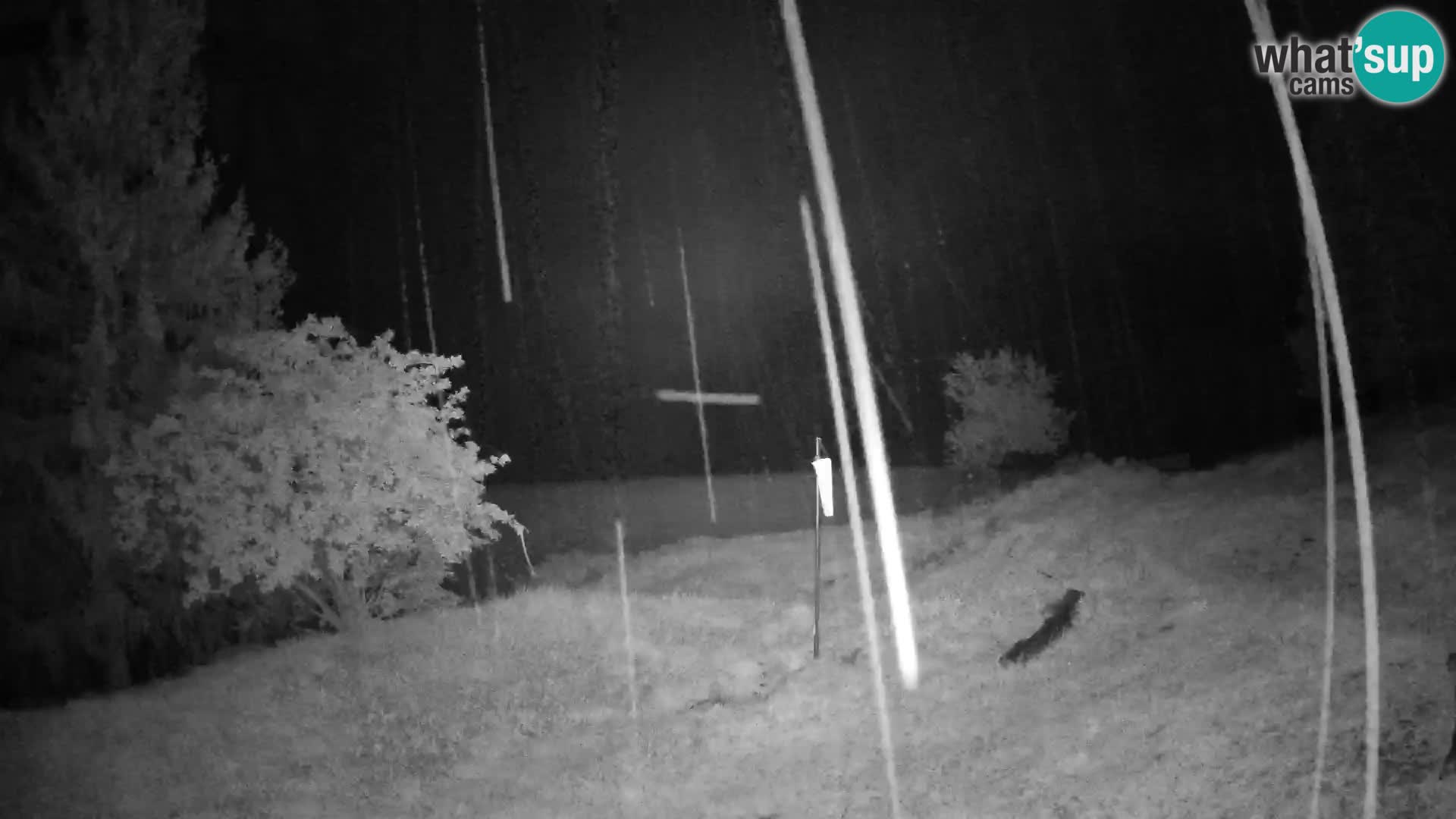 Slajka webcam | Gorenja Vas | Slowenien