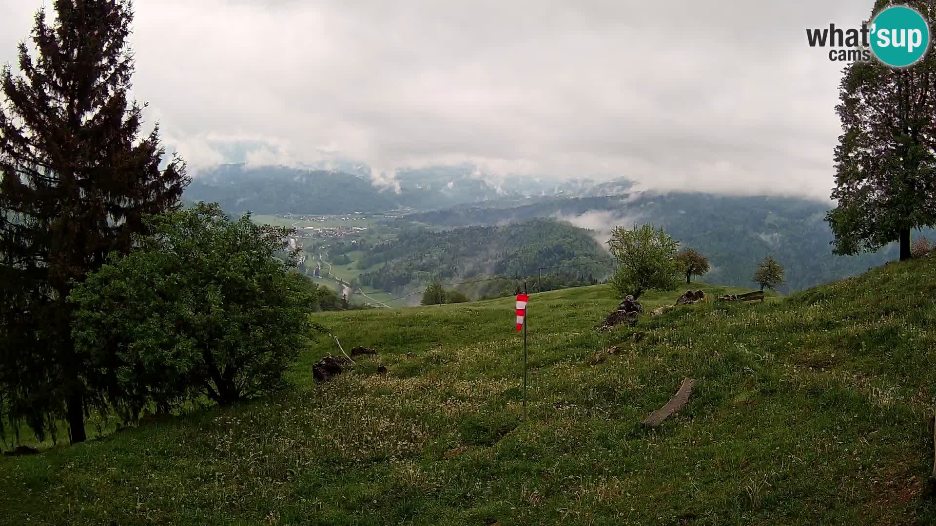 Slajka livecam | Gorenja Vas | Slovénie