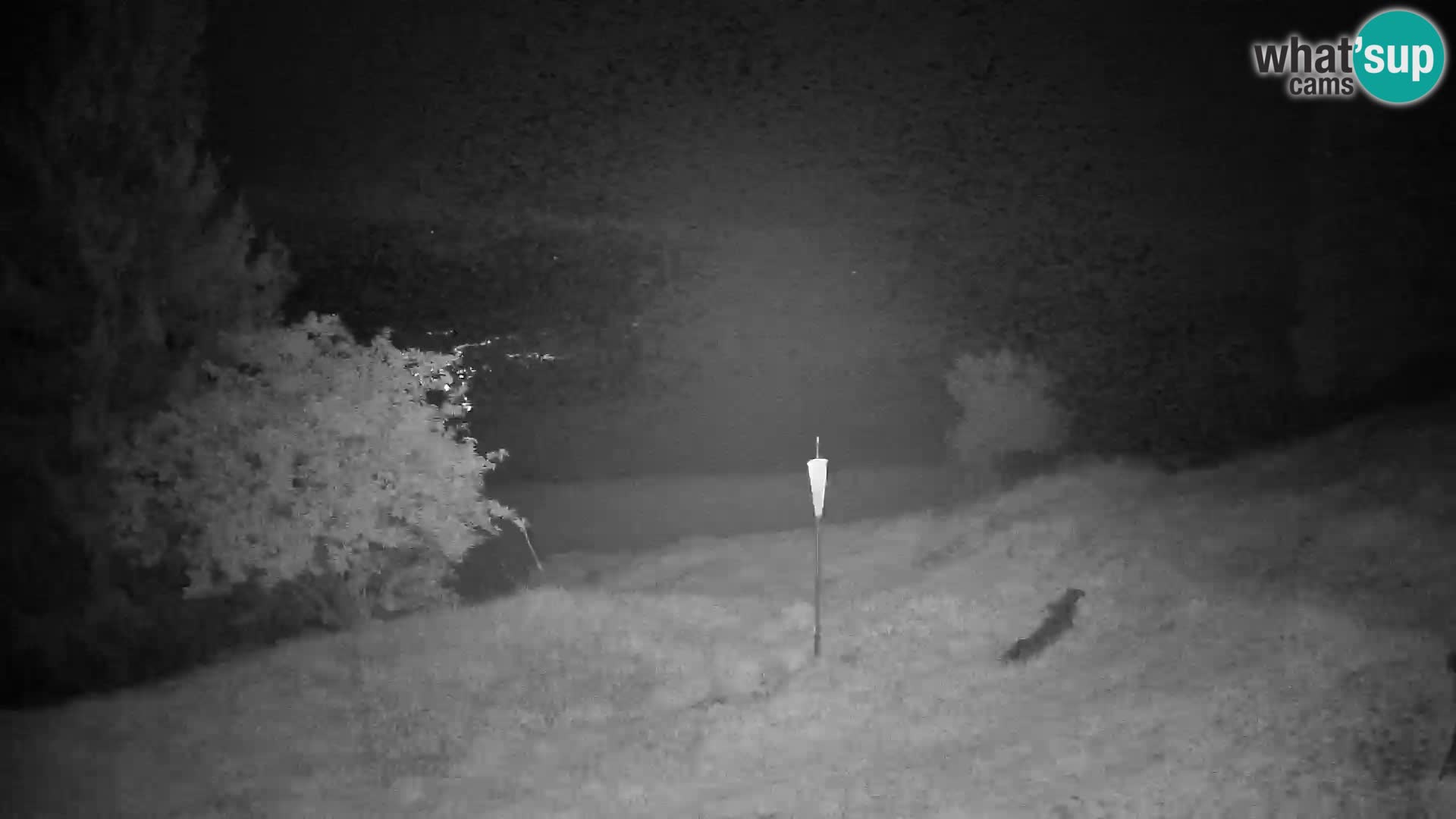 Slajka webam | Gorenja vas | Slovenia