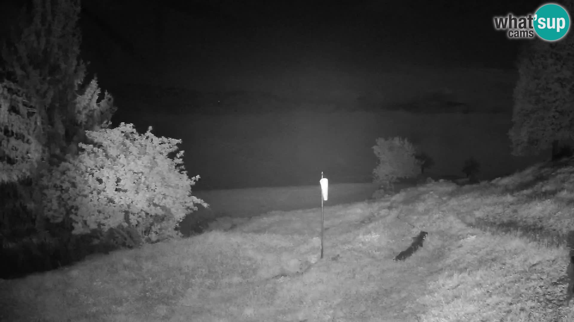 Slajka webcam | Gorenja Vas | Slowenien