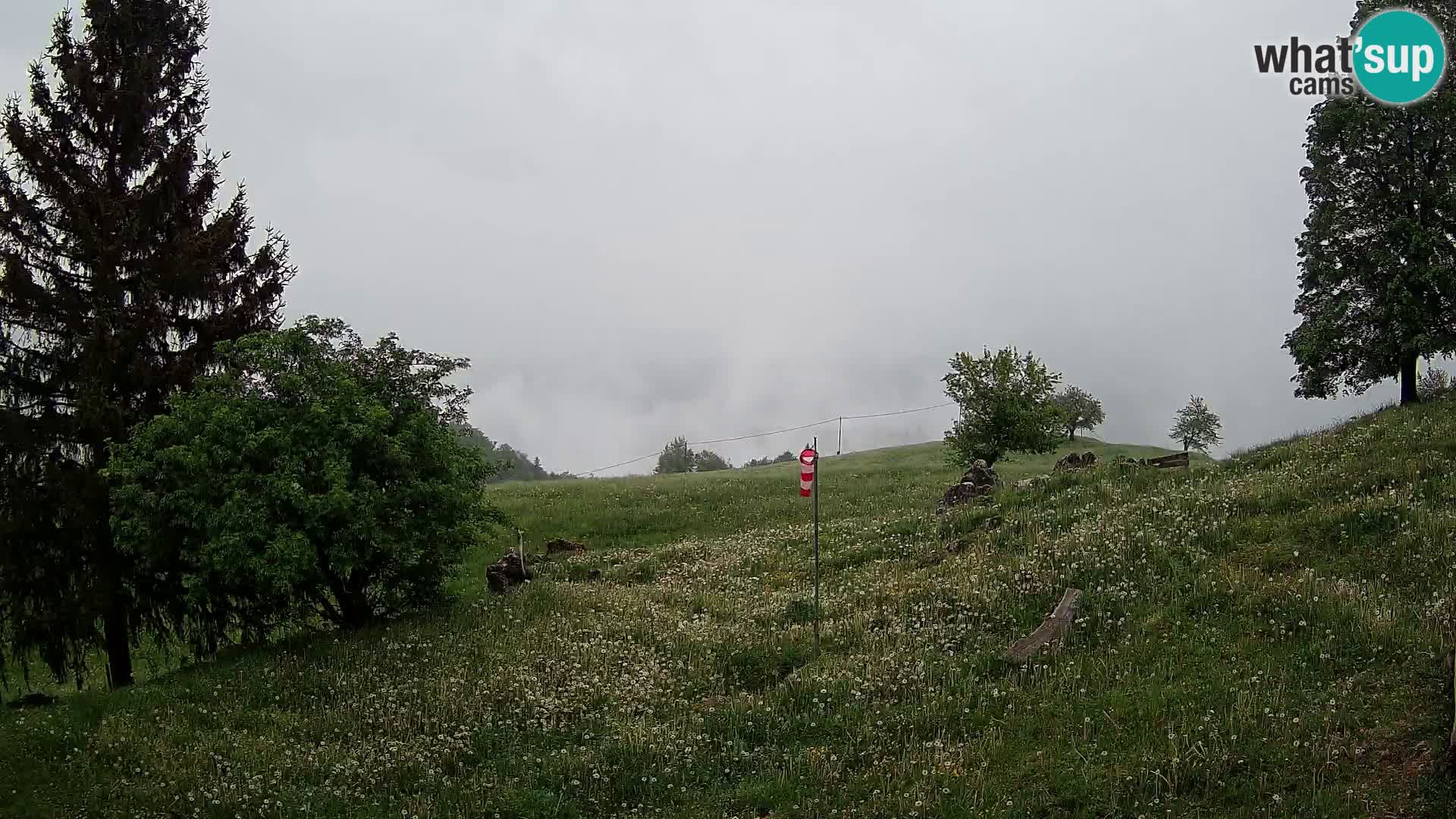 Slajka webam | Gorenja vas | Slovenia