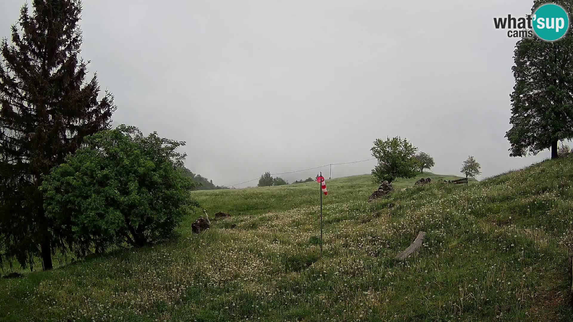 Slajka camera en vivo | Gorenja Vas | Eslovenia